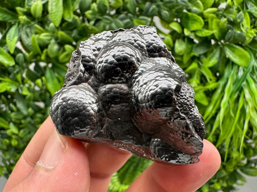 Botryoidal Black Hematite Specimen: Moroccan Crystal for Reiki Chakra