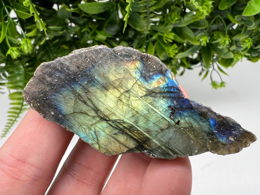 Polished Labradorite Slab: Multifire Crystal Decor - 7x3.5x1.5cm