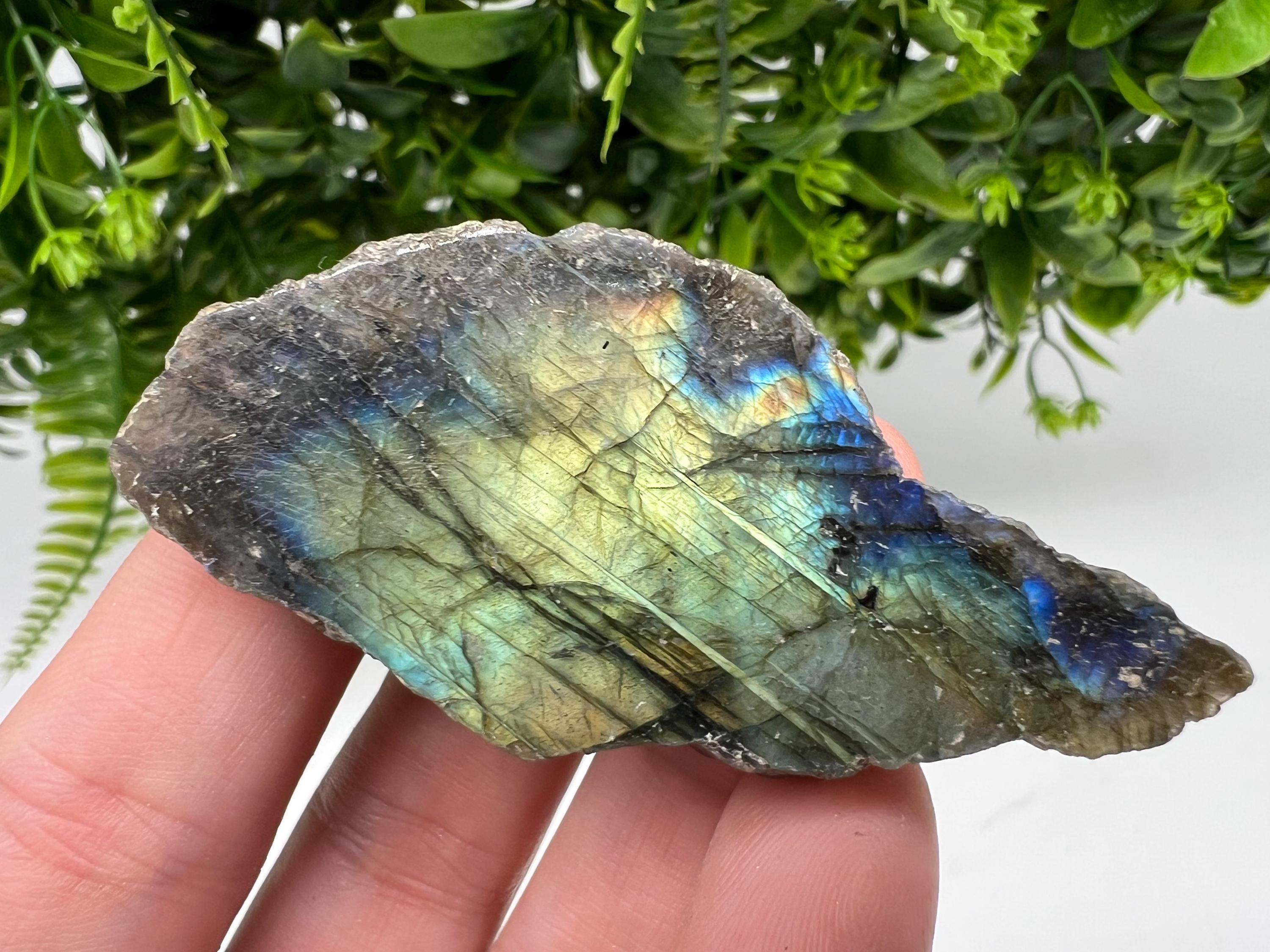 Polished Labradorite Slab: Multifire Crystal Decor - 7x3.5x1.5cm