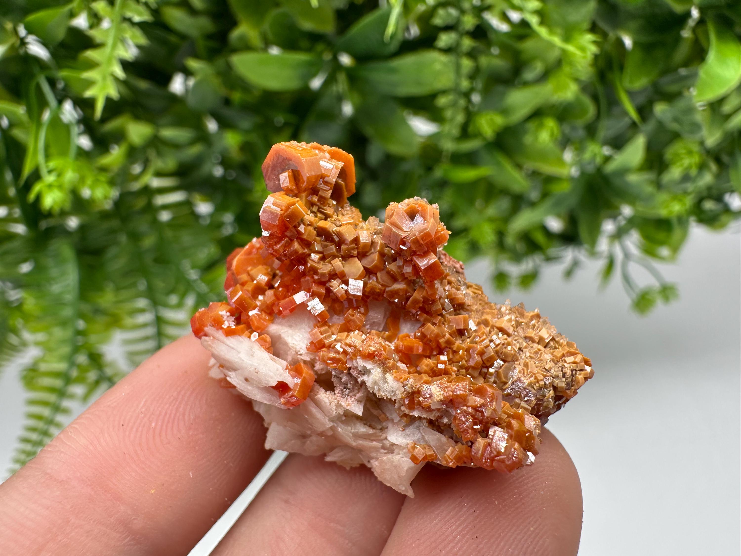 Red Vanadinite on Barite Specimen, Morocco Crystal Cluster