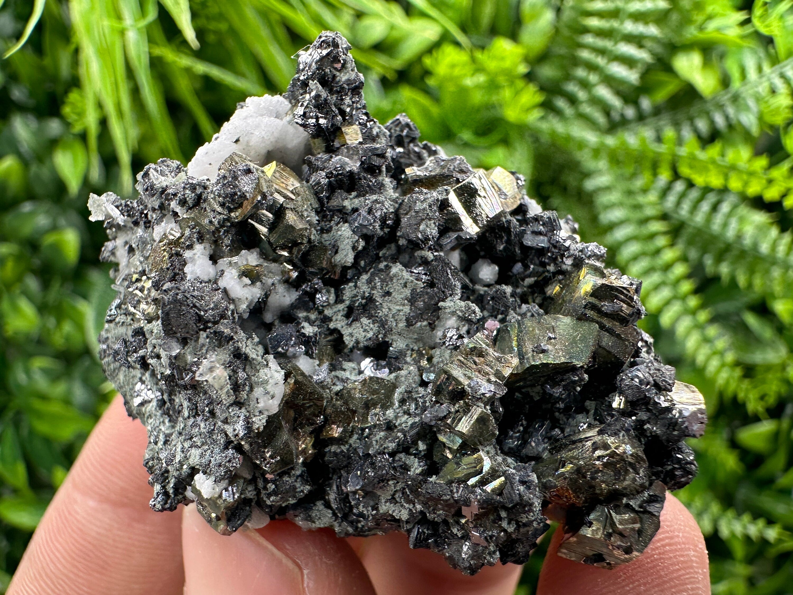 Rainbow Pyrite on Sphalerite and Quartz from Borieva Mine, Bulgaria