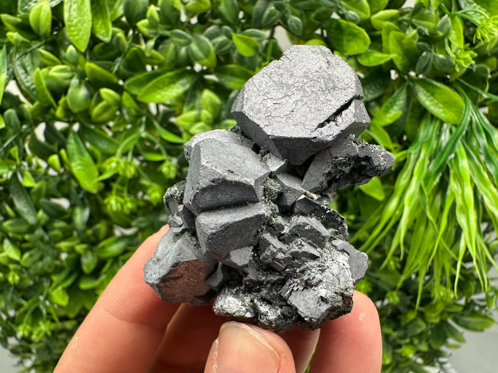 Shiny Galena Cluster from Borieva Mine, Bulgaria