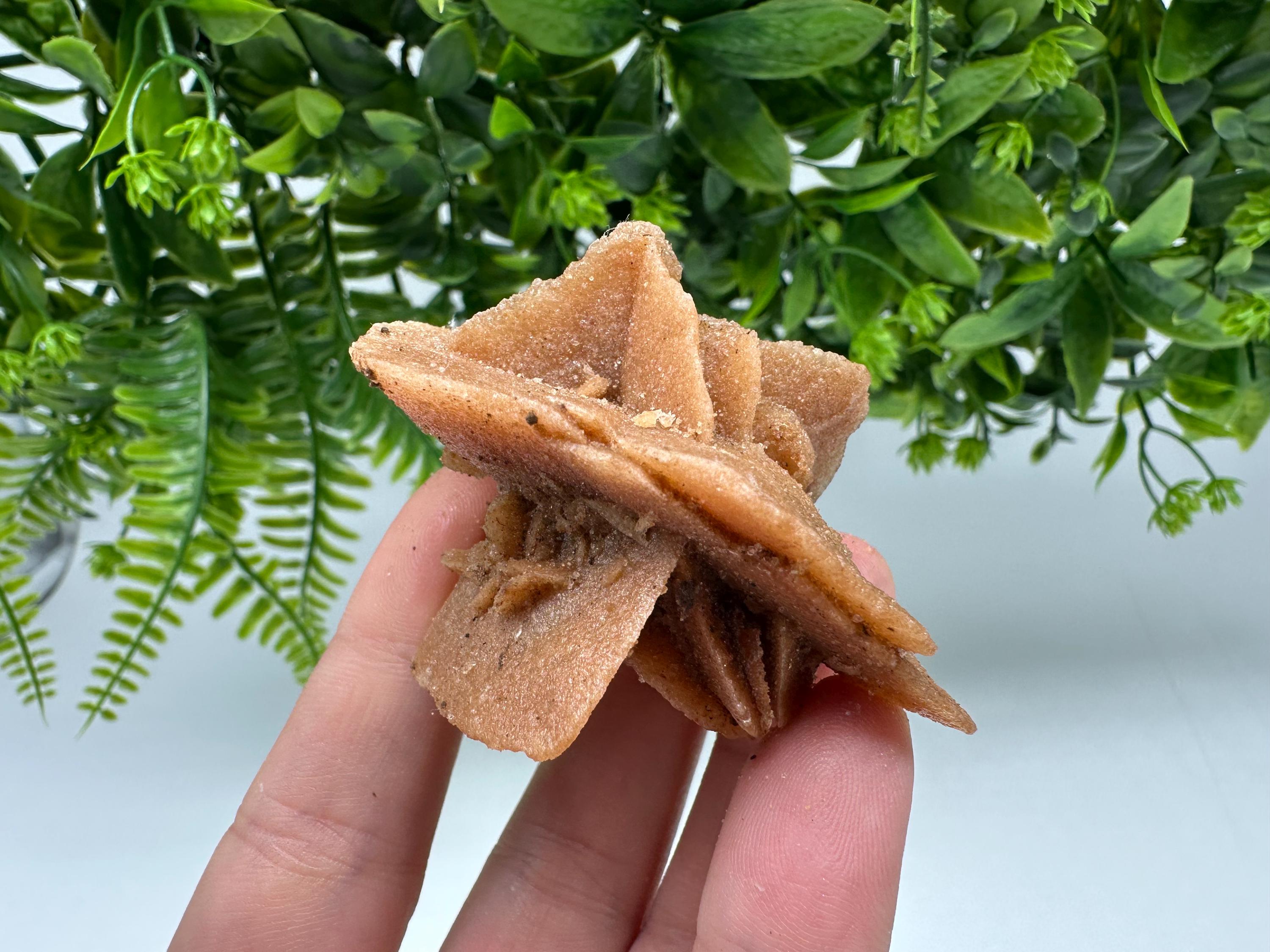 Natural Desert Rose Crystal - Root Chakra Healing Selenite Stone