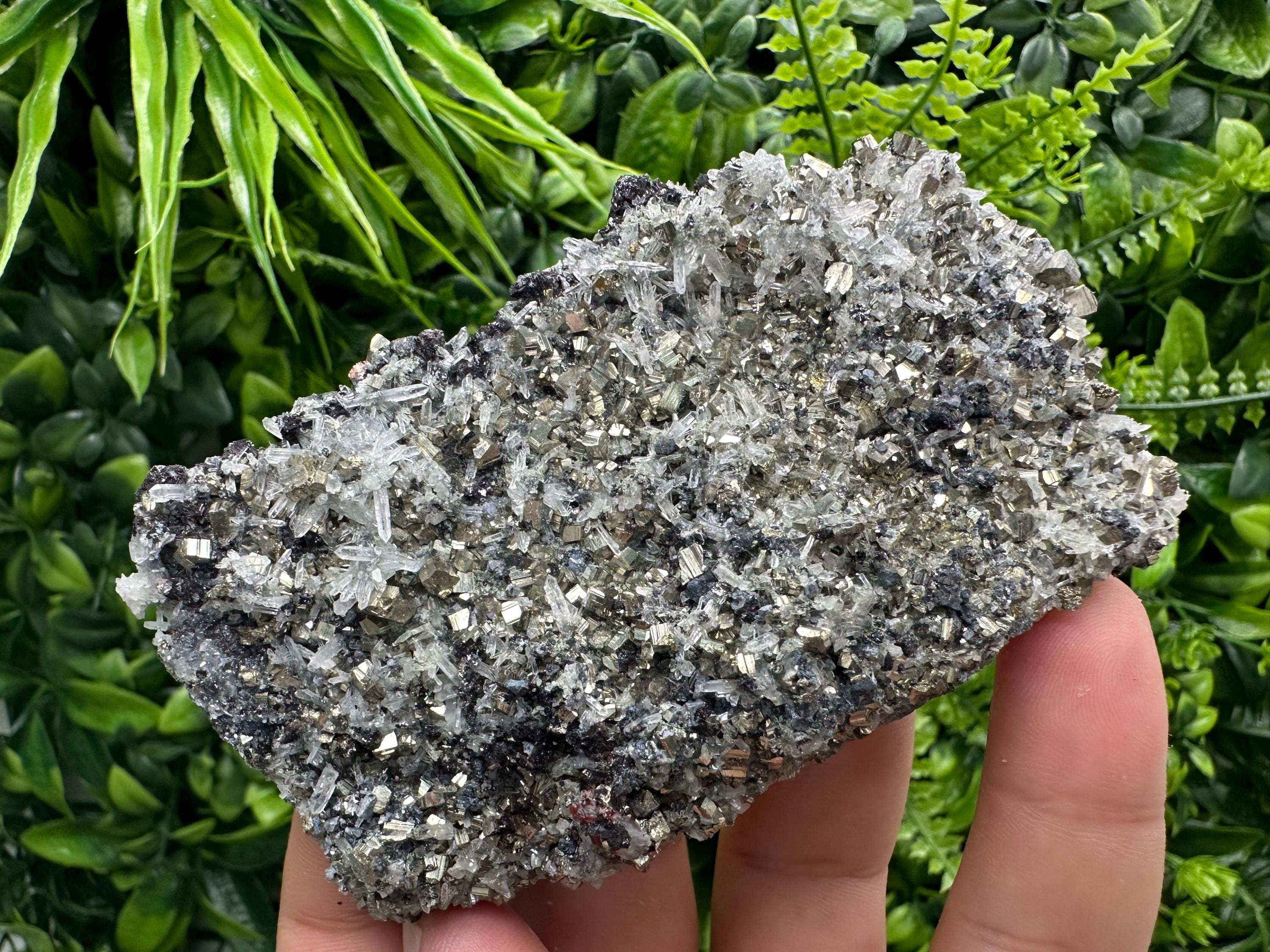 Galena Sphalerite Pyrite on Quartz, Borieva Mine, Bulgaria