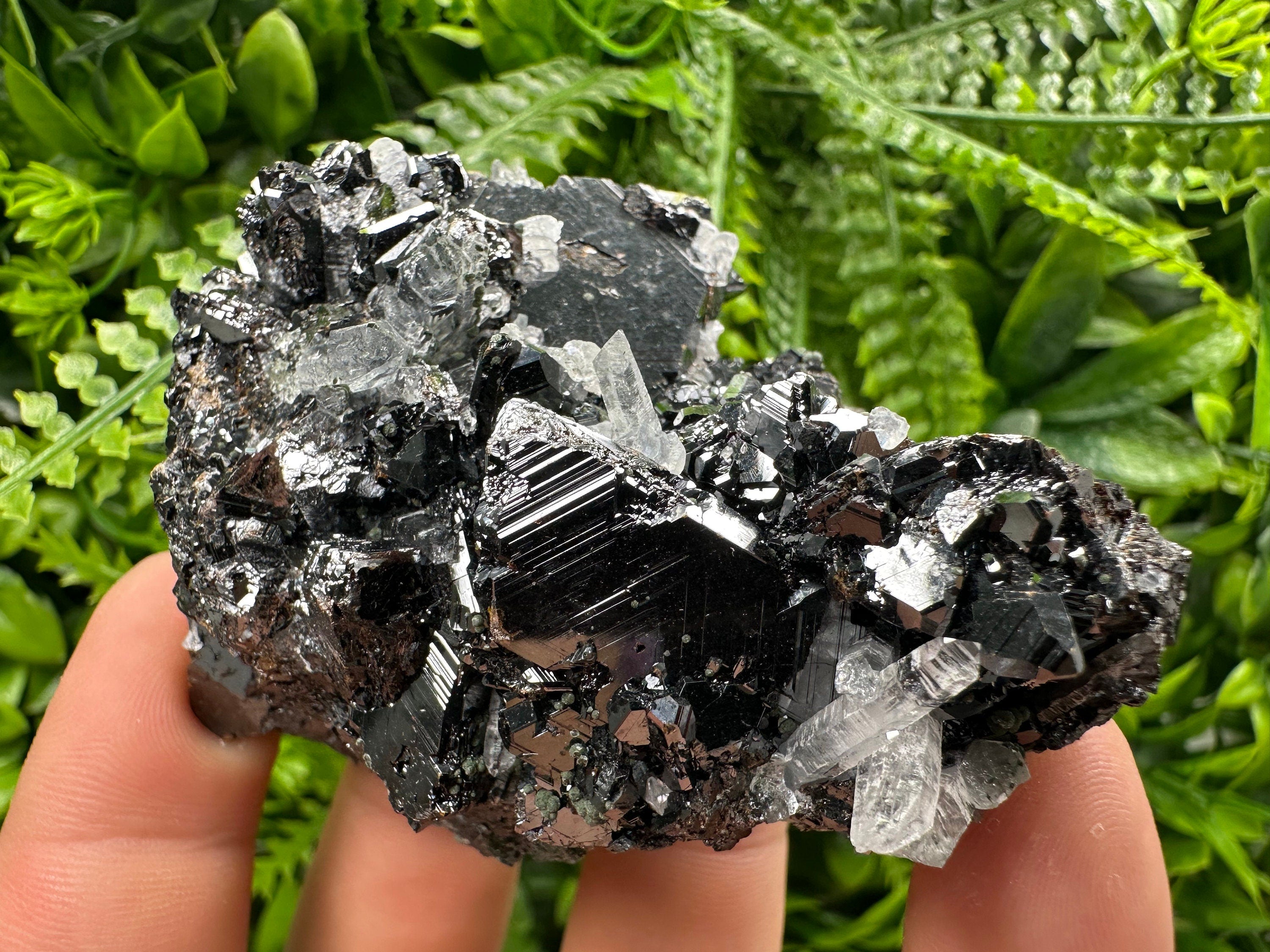 Borieva Sphalerite on Quartz: Rare Mineral Cluster