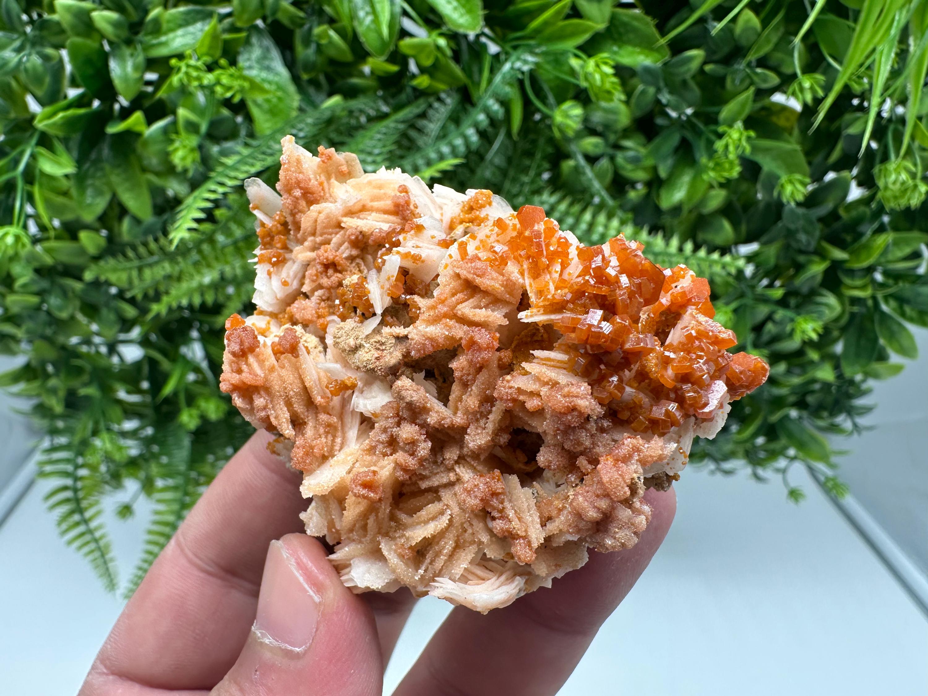 Red Vanadinite on Barite from Marocco,crystal minerals Speciment cluster Vanadinite crystal Vanadinite Geology Vanadinite cluster minerals