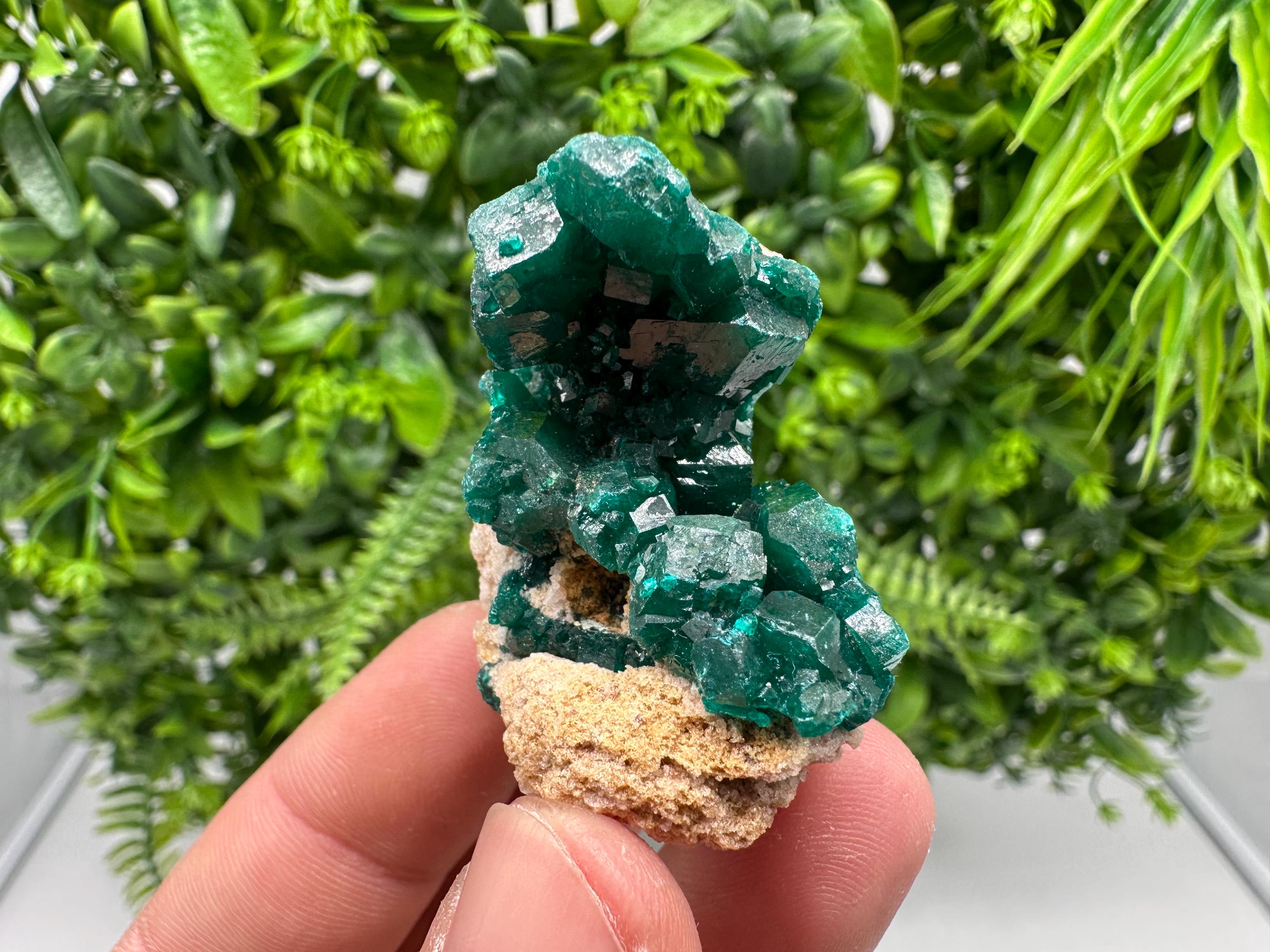 Stunning Green Dioptase from Sanda Hills,Mindouli,Pool Department,Mindouli District,Congo,green Dioptase,Dioptas Crystal,Dioptase collecting