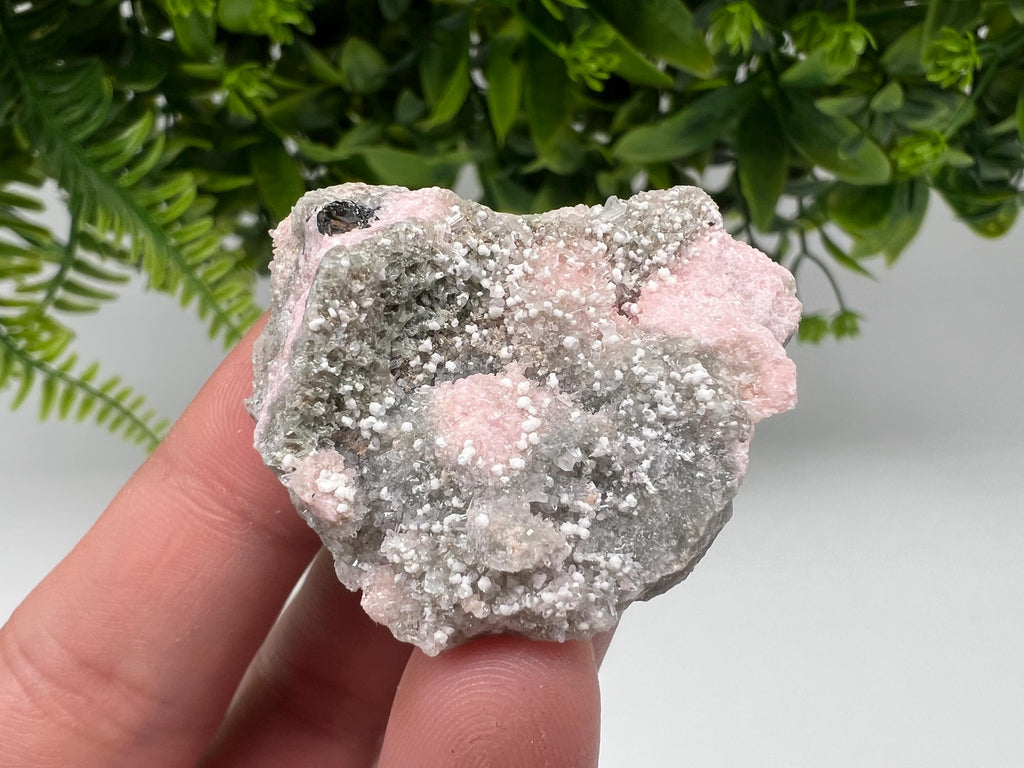 RARE Rhodochrosite with Calcite, Starnica Mine, Bulgaria