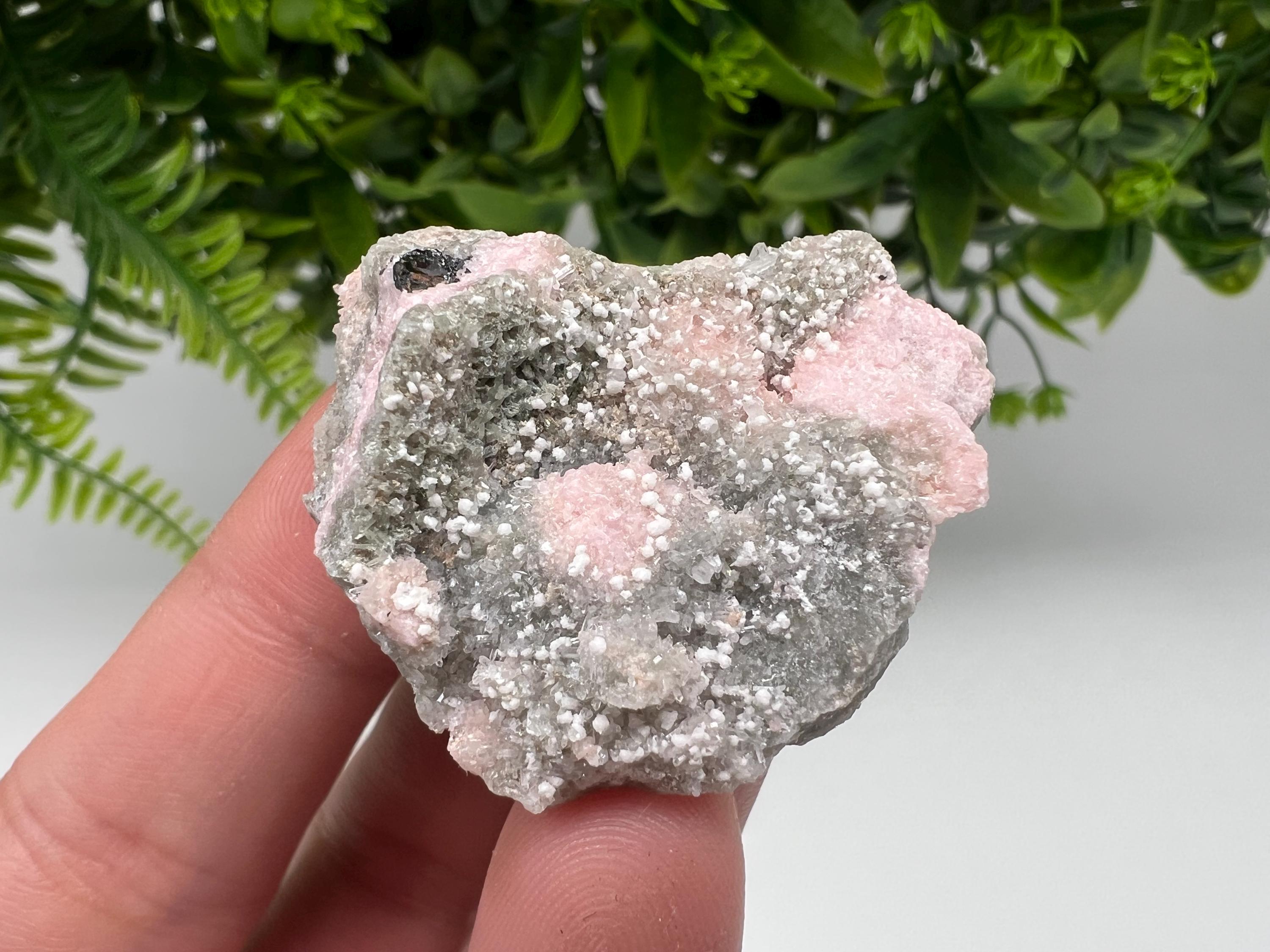 RARE Rhodochrosite with Calcite, Starnica Mine, Bulgaria