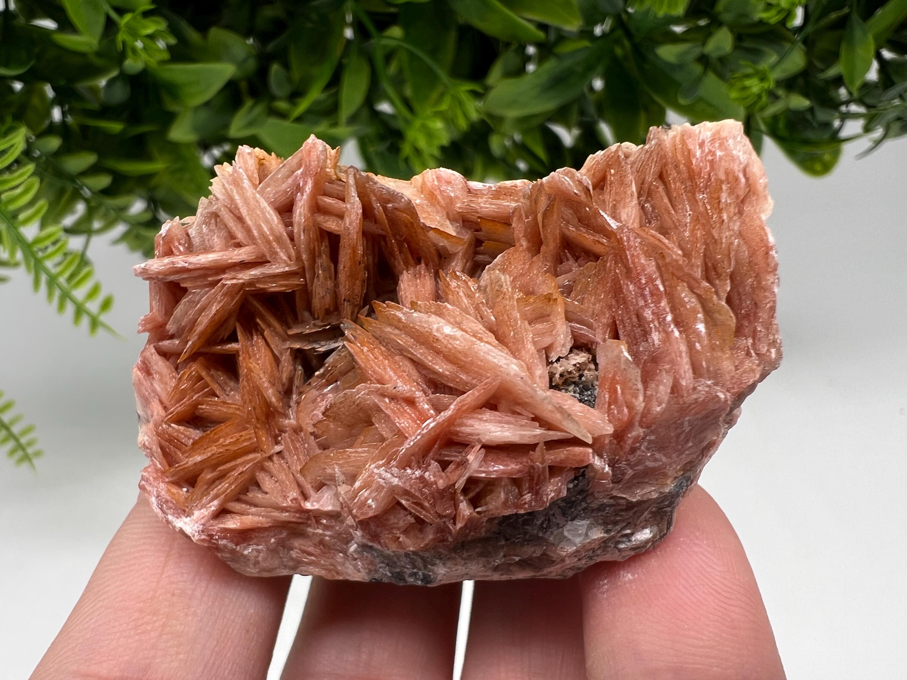 Wonderful Baryte with Cerussite on Galena from Morocco,Crystal, Mineral,Specimen,Cluster,Crystals,Barite Crystal,Cerussite Crystal,Specimen