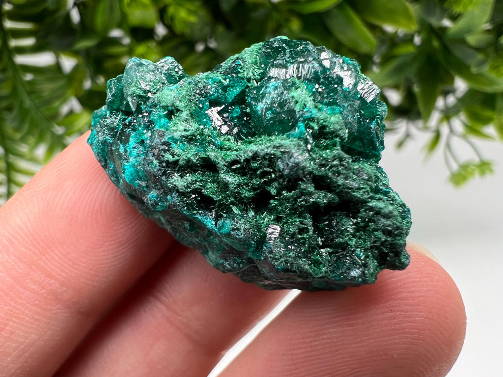 Stunning Green Dioptase from Sanda Hills,Mindouli,Pool Department,Mindouli District,Congo,green Dioptase,Dioptas Crystal,Dioptase collecting