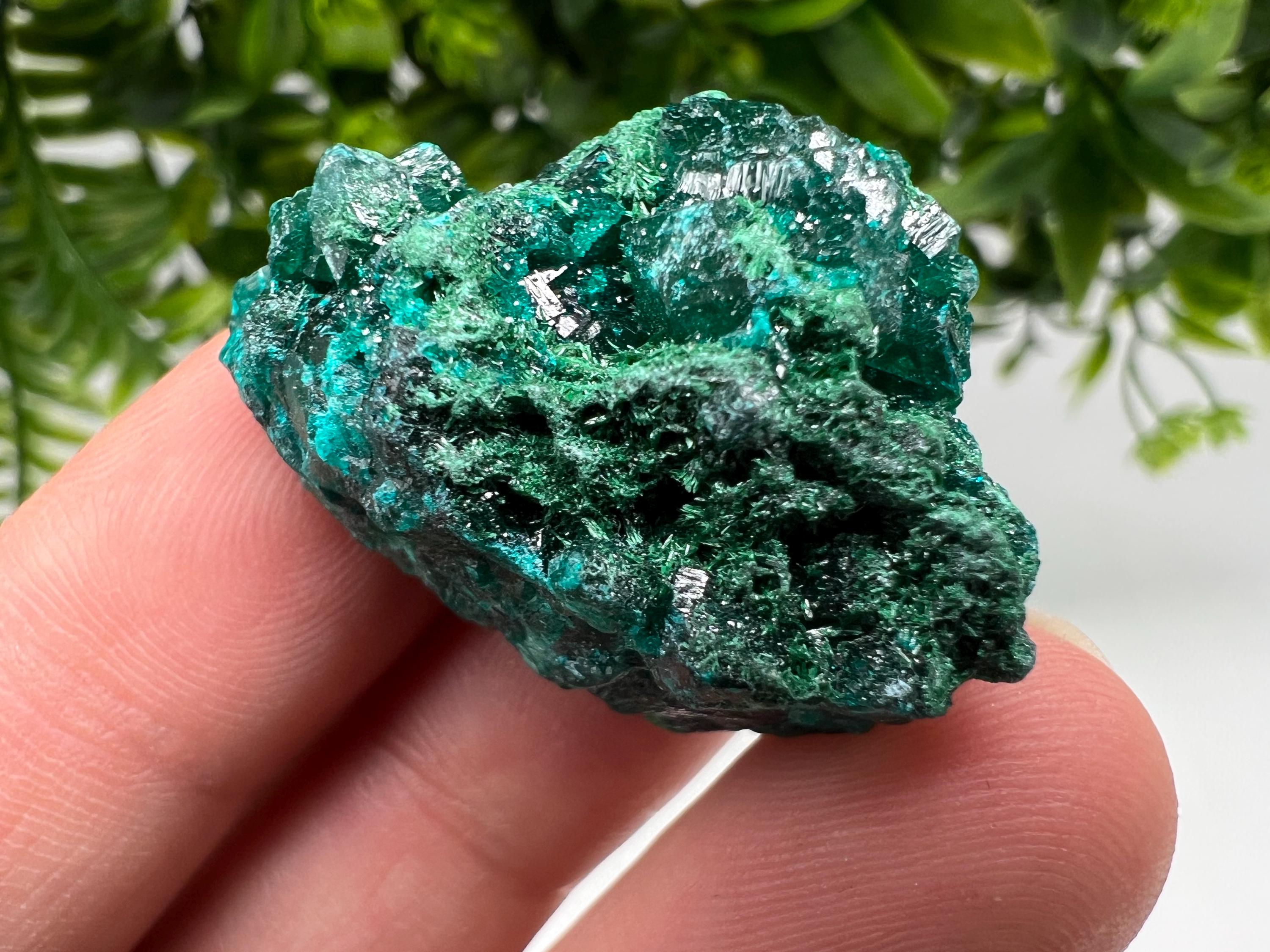 Stunning Green Dioptase from Sanda Hills,Mindouli,Pool Department,Mindouli District,Congo,green Dioptase,Dioptas Crystal,Dioptase collecting