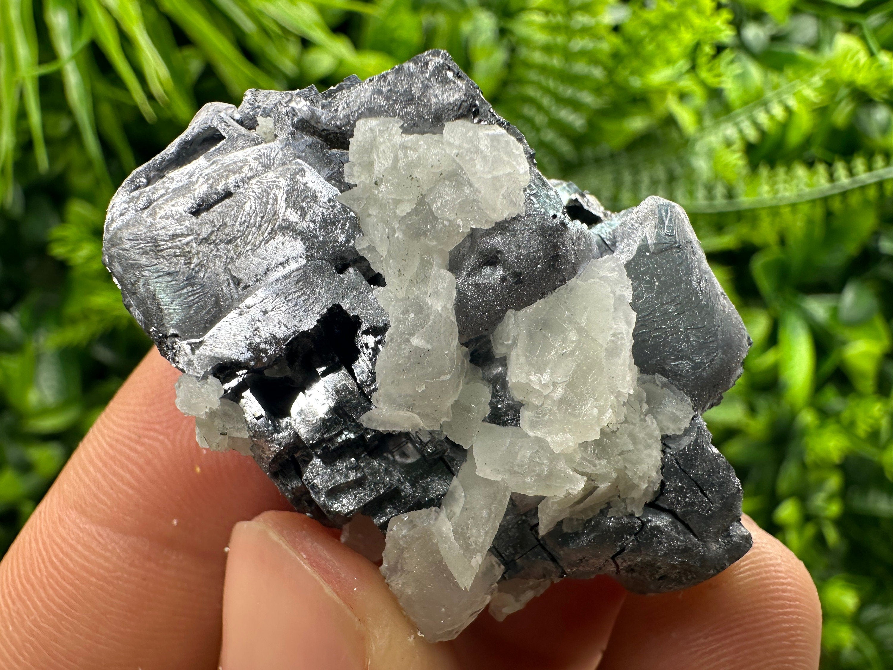 Galena Cluster: Borieva Mine, Madan, Bulgaria