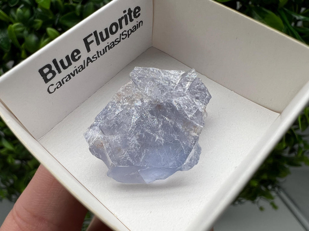 Blue Fluorite Mineral Specimen: Spain Collection (3/2.5 cm
