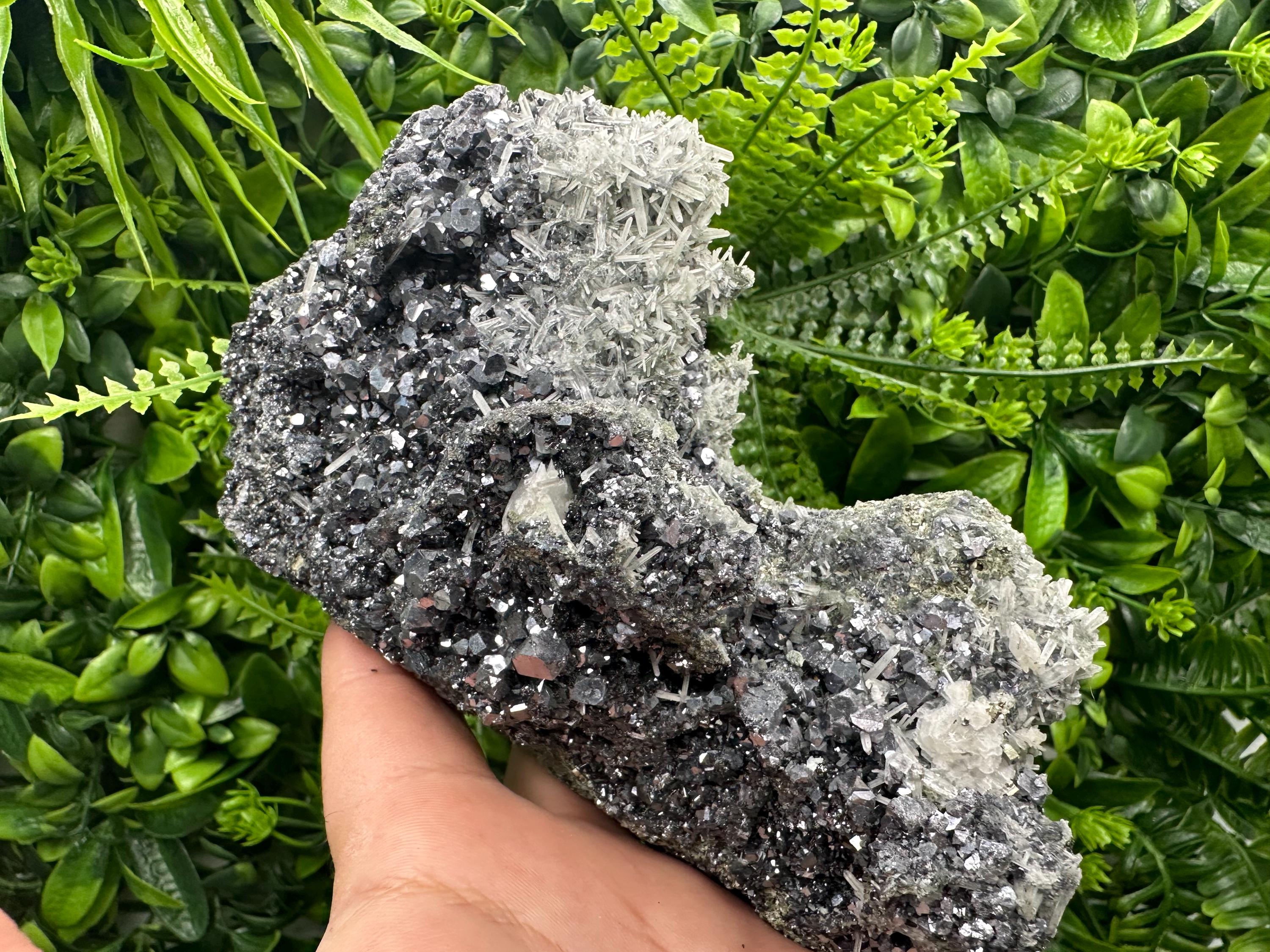 Galena on Sphalerite and Quartz: Borieva Mine, Bulgaria
