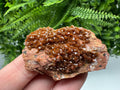 Red Vanadinite on Matrix from Marocco,crystal minerals Speciment cluster Vanadinite crystal Vanadinite Geology Vanadinite cluster minerals
