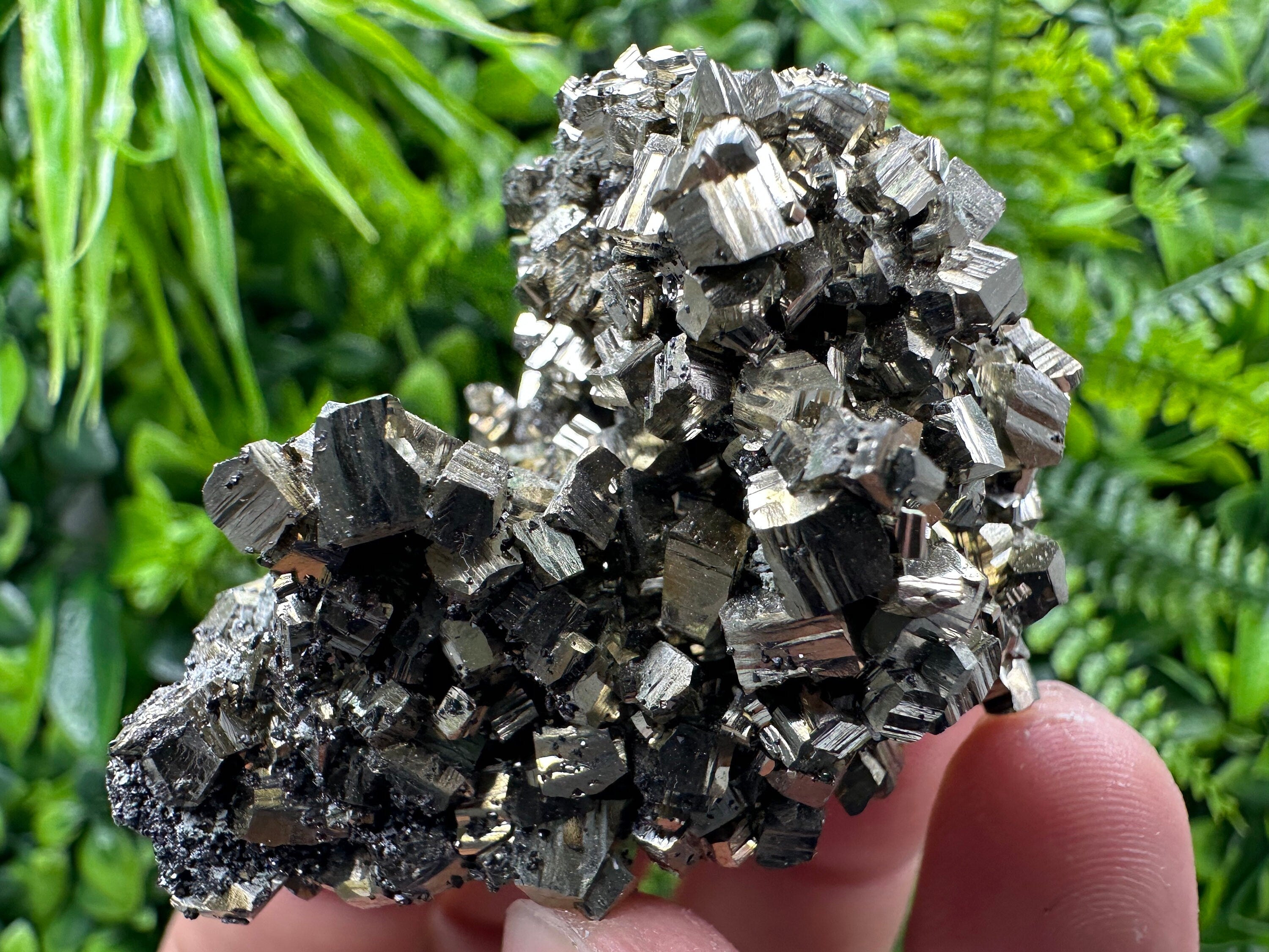 Natural Pyrite Crystal Cluster, September Mine Bulgaria