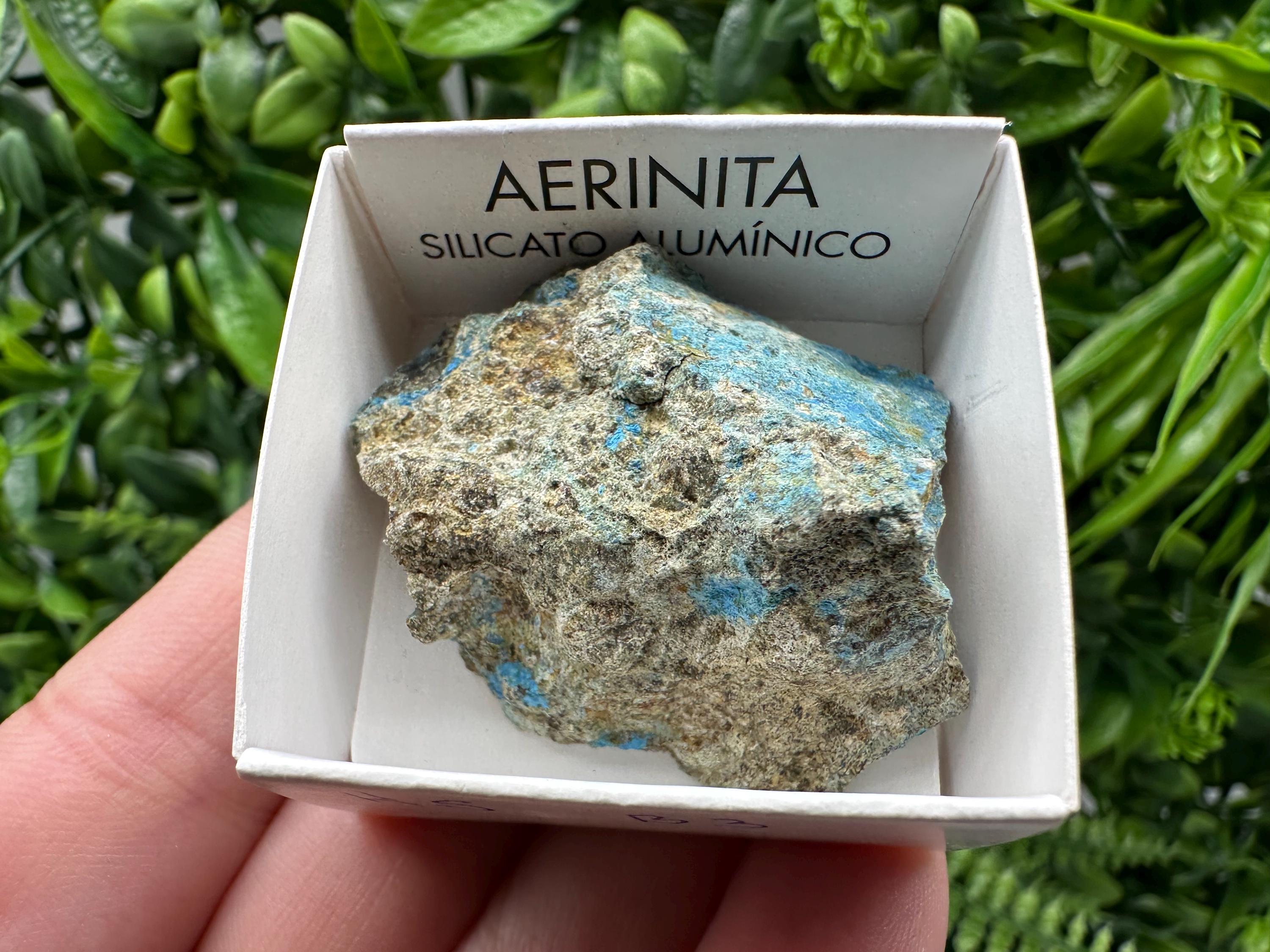 Rare Raw Aerinite Mineral Specimen: Lleida, Spain Crystal