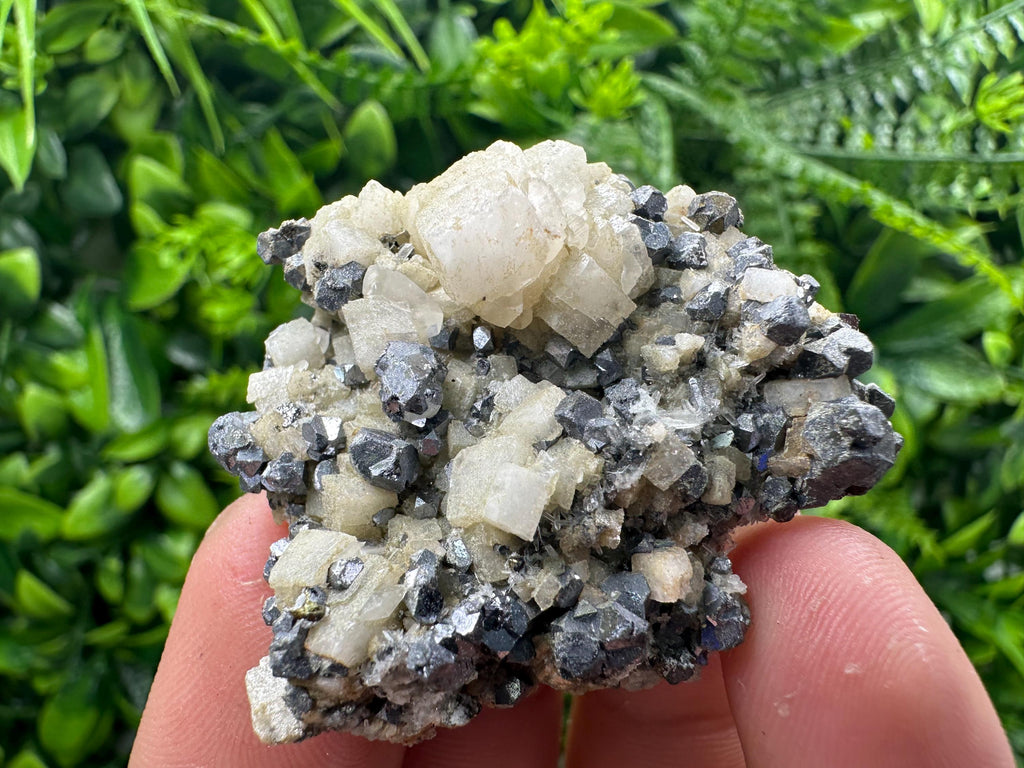 Galena Chalcopyrite on Calcite, Borieva Mine, Bulgaria