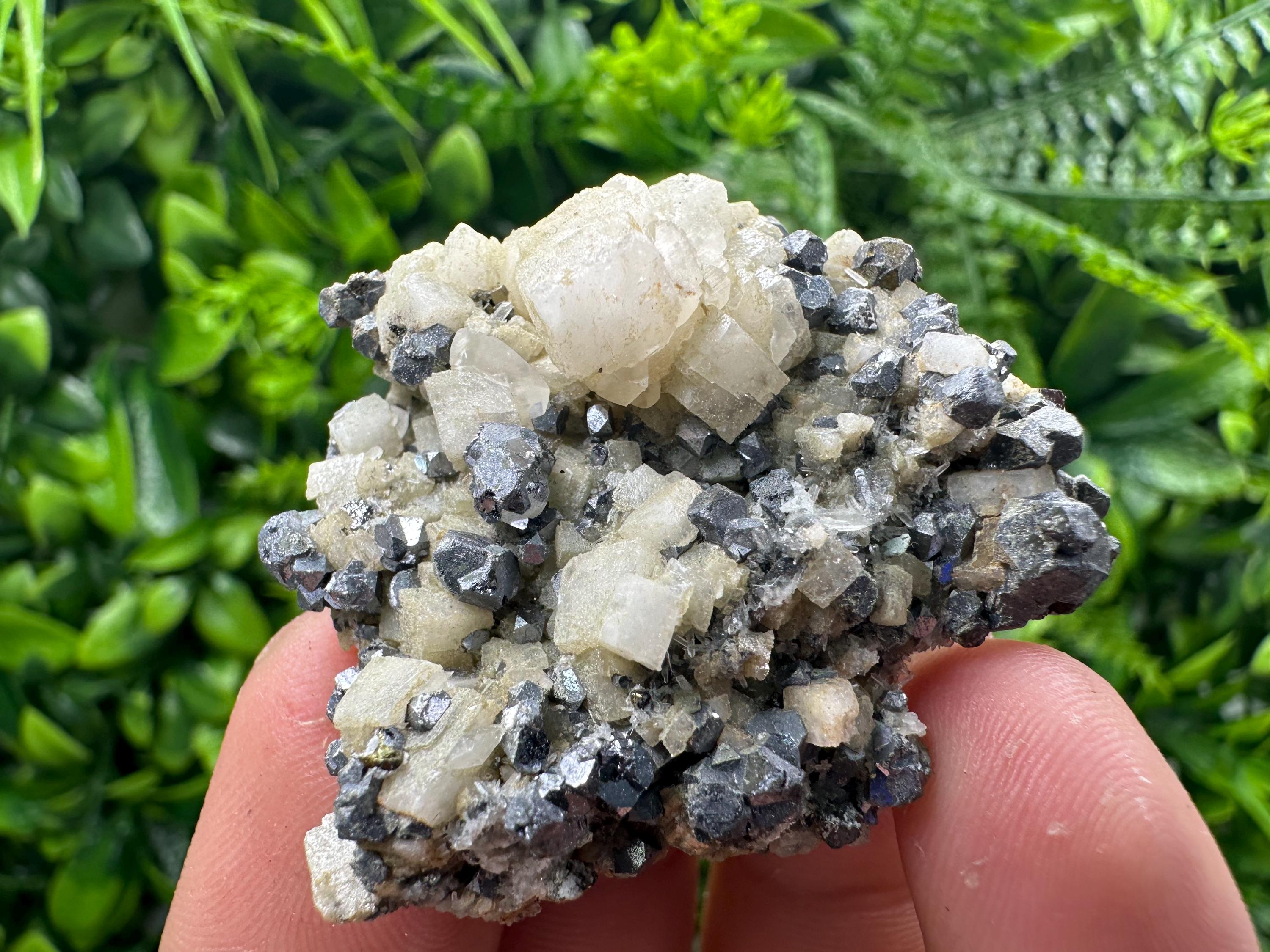 Galena Chalcopyrite on Calcite, Borieva Mine, Bulgaria