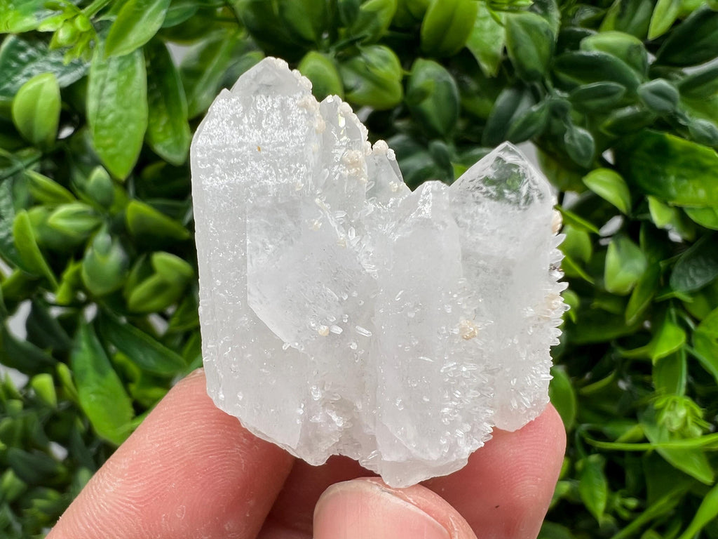 Quartz with Pyrite, Krushev dol Mine, Bulgaria, Crystal Decor Stone