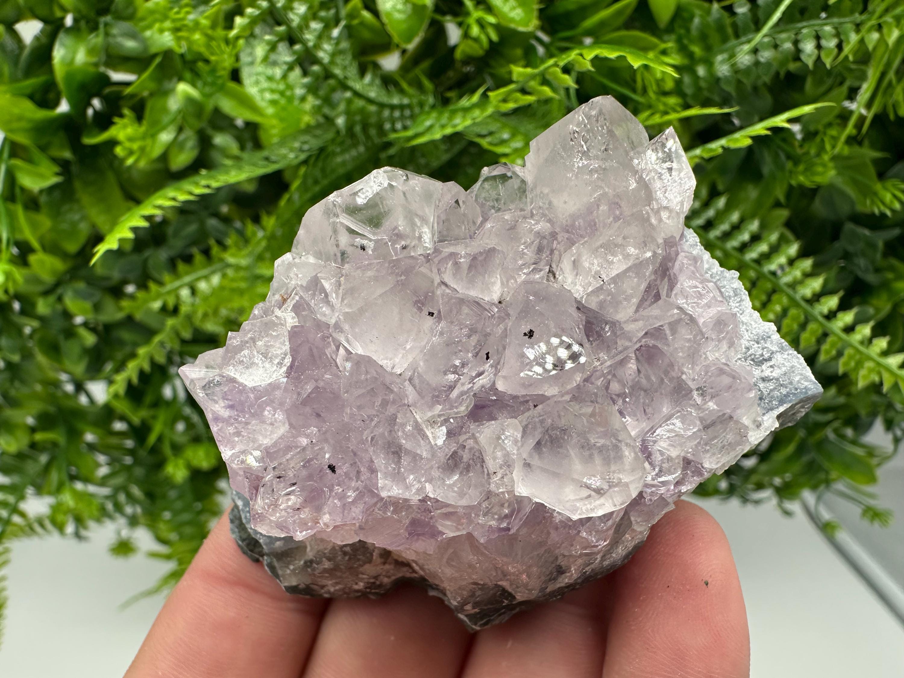 Brazilian Amethyst Cluster, Purple Quartz Crystal Specimen