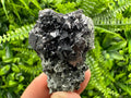 Sphalerite on Quartz: Natural Mineral Specimen, Bulgaria
