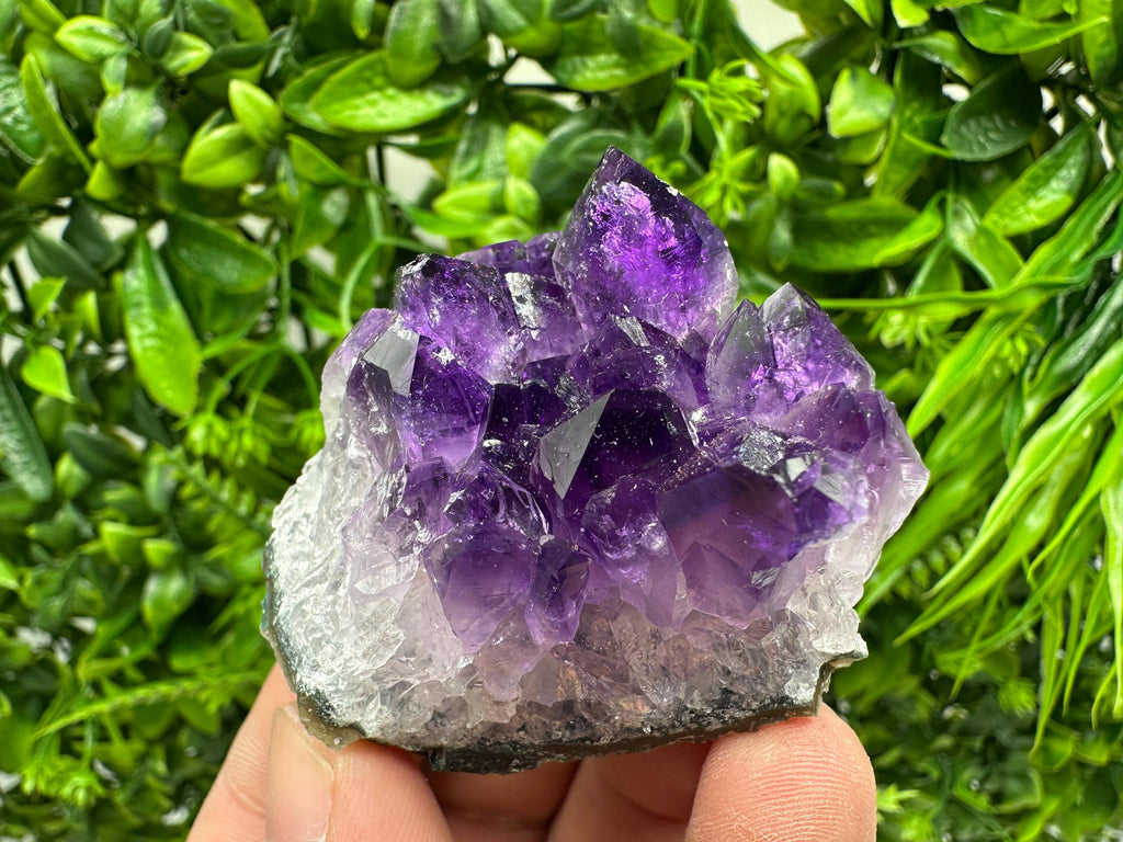 Uruguay Amethyst Cluster: Purple Quartz Crystal, Home Decor