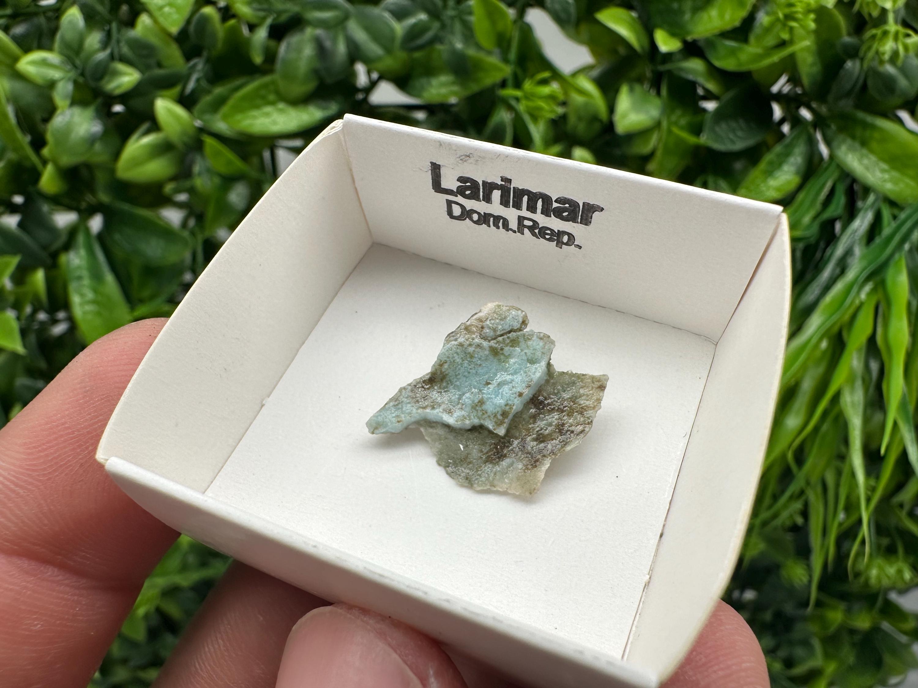 Rare Raw Larimar Specimen: Dom. Rep. Mineral Collection (20mm)