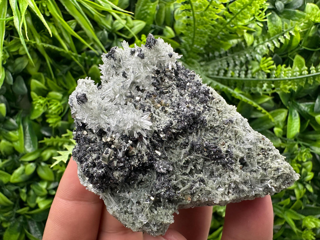 Sphalerite Pyrite on Quartz with Chlorite, Borieva Mine Mineral Specimen