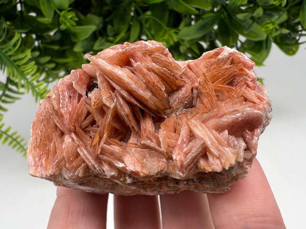 Wonderful Baryte with Cerussite on Galena from Morocco,Crystal, Mineral,Specimen,Cluster,Crystals,Barite Crystal,Cerussite Crystal,Specimen