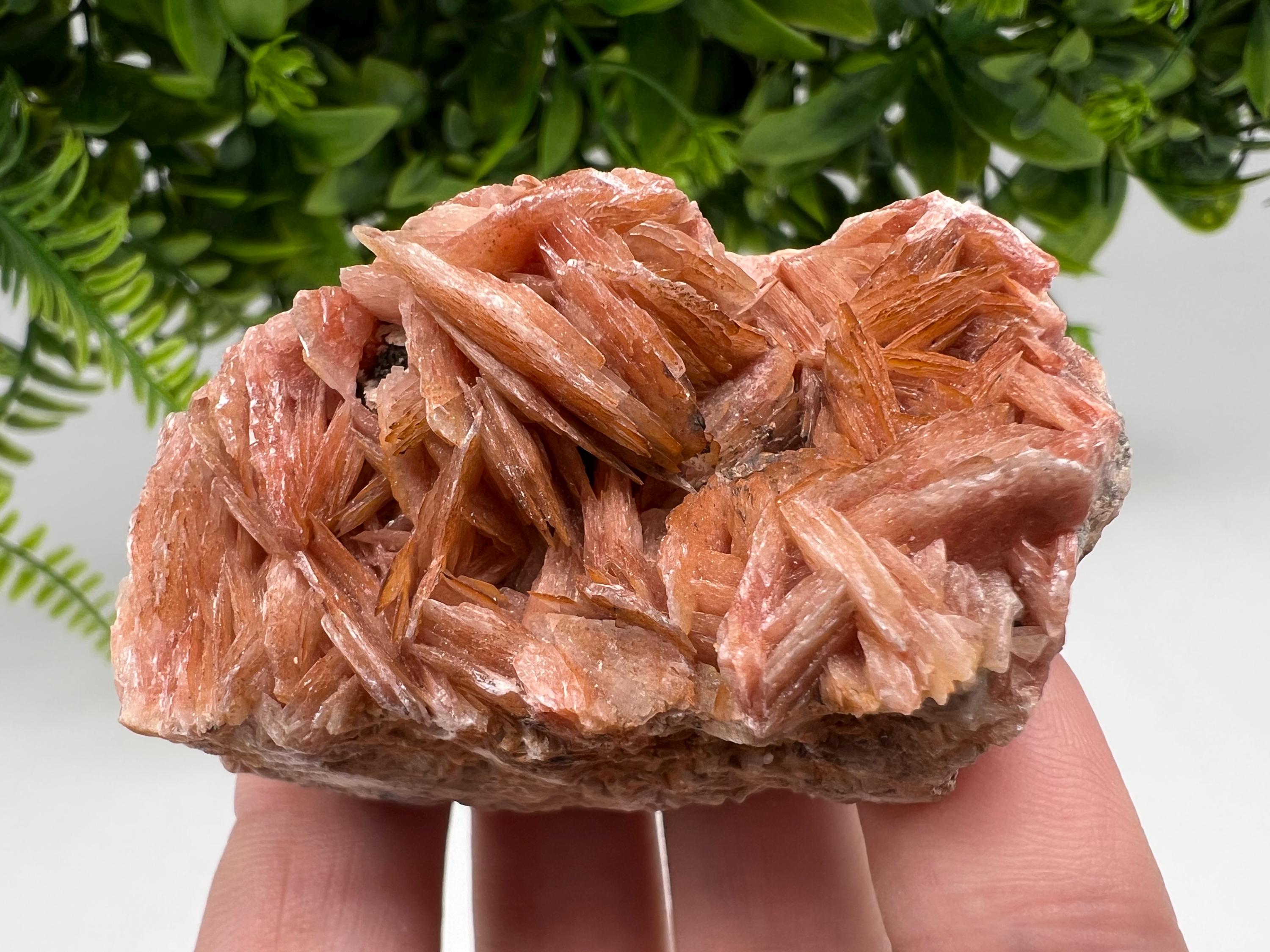 Wonderful Baryte with Cerussite on Galena from Morocco,Crystal, Mineral,Specimen,Cluster,Crystals,Barite Crystal,Cerussite Crystal,Specimen