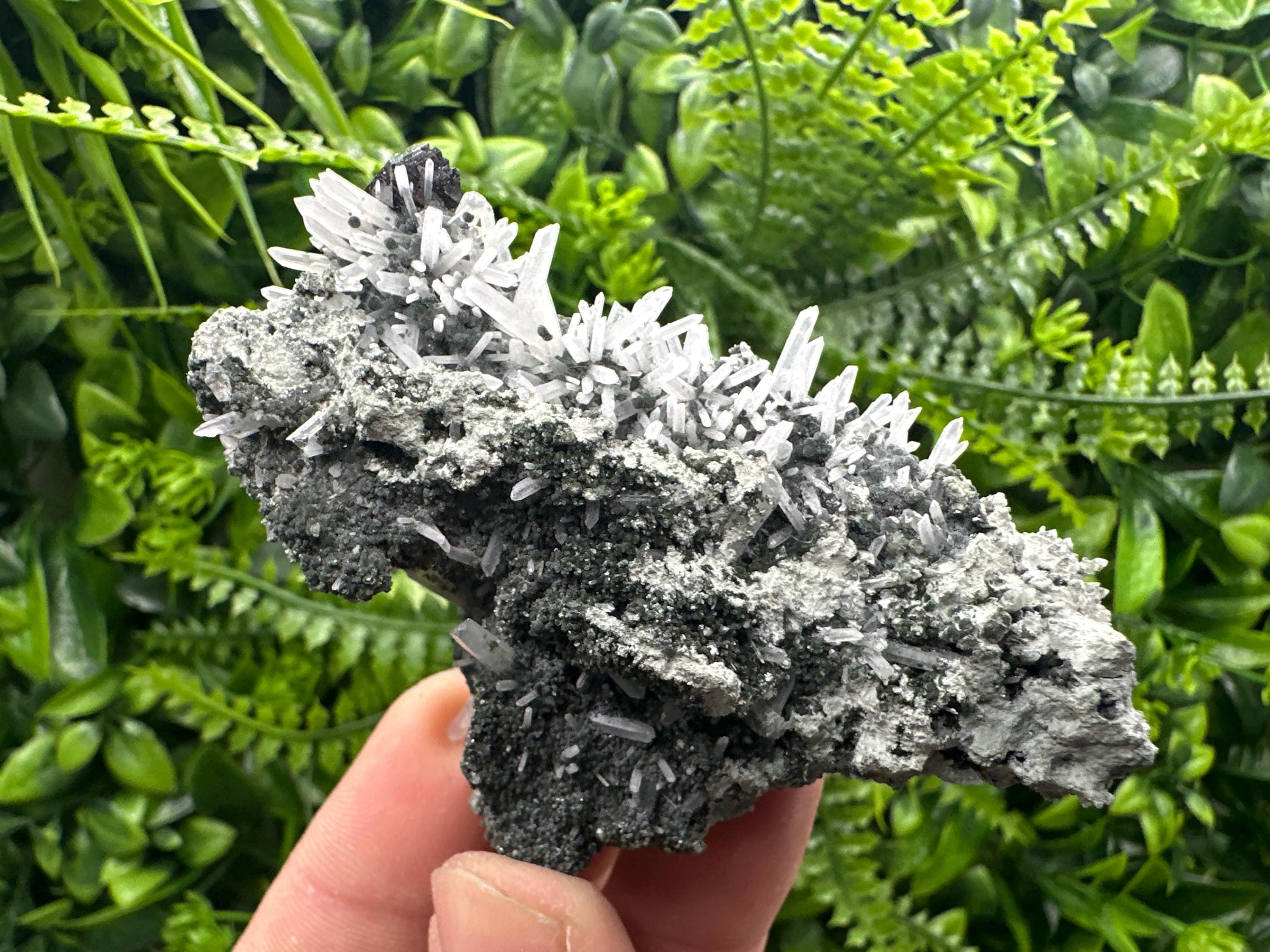 Quartz with Chlorite and Sphalerite, Borieva Mine Mineral Specimen