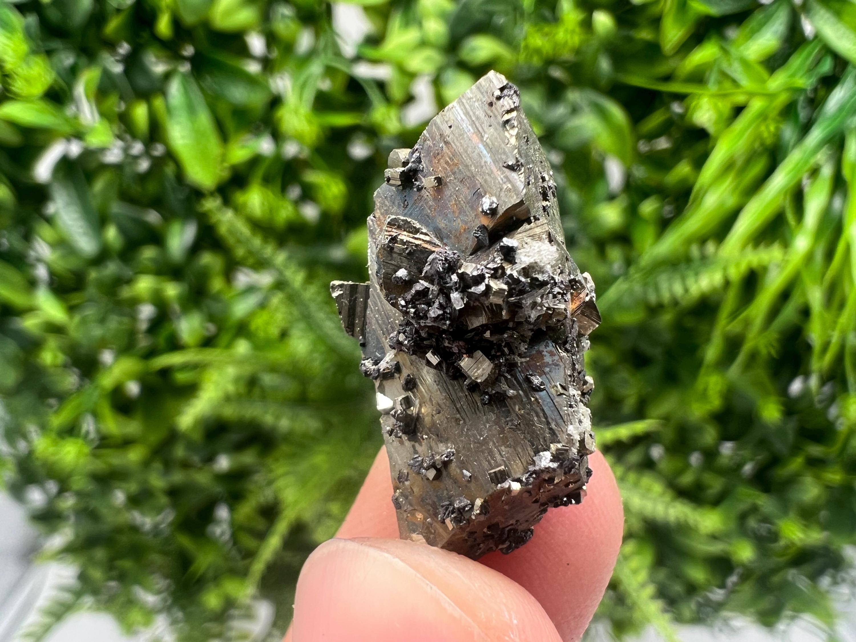 Mini Rainbow Pyrite Cluster: Borieva Mine, Bulgaria