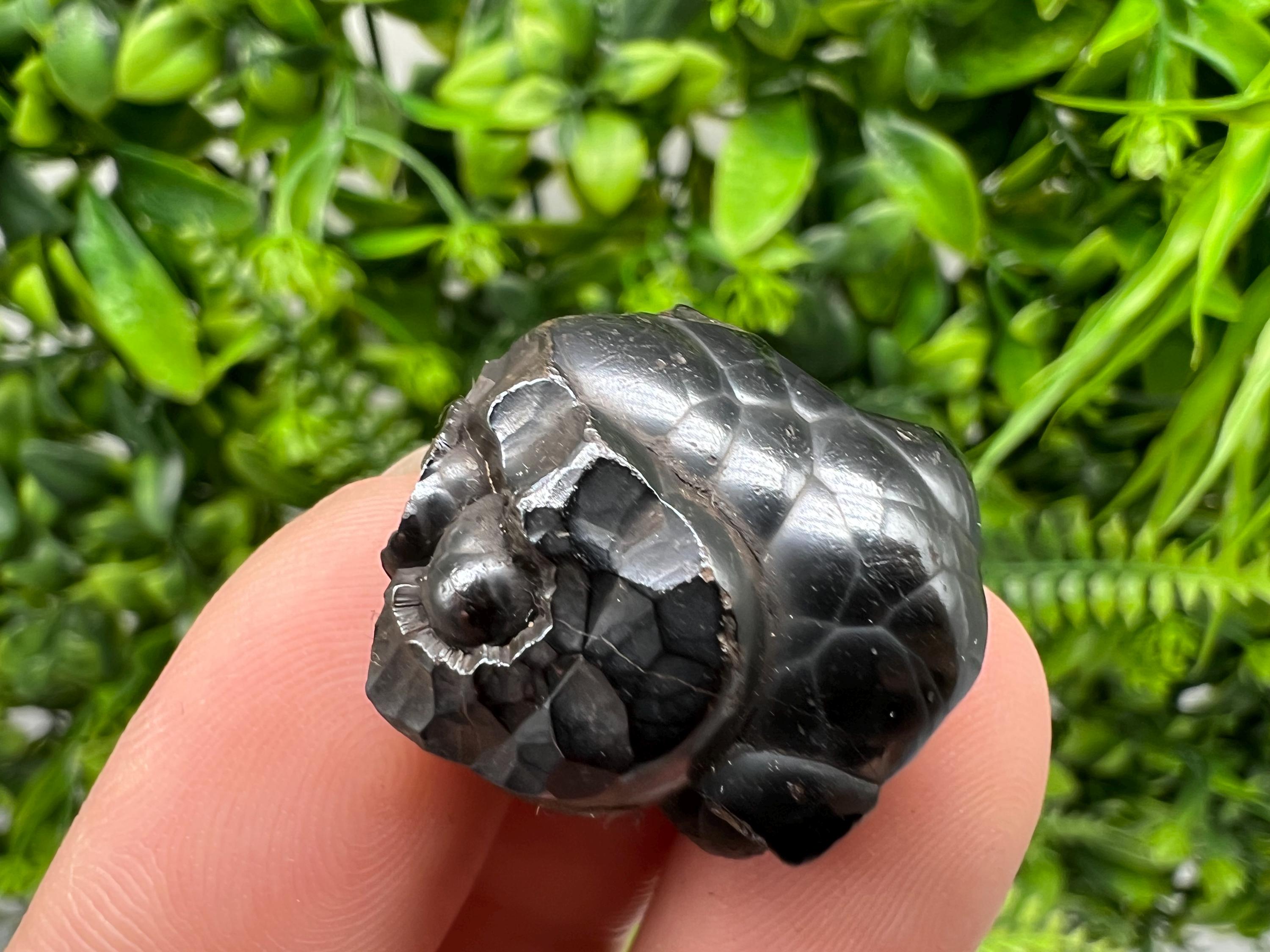 Botryoidal Black Hematite Specimen: Moroccan Crystal, Chakra Reiki