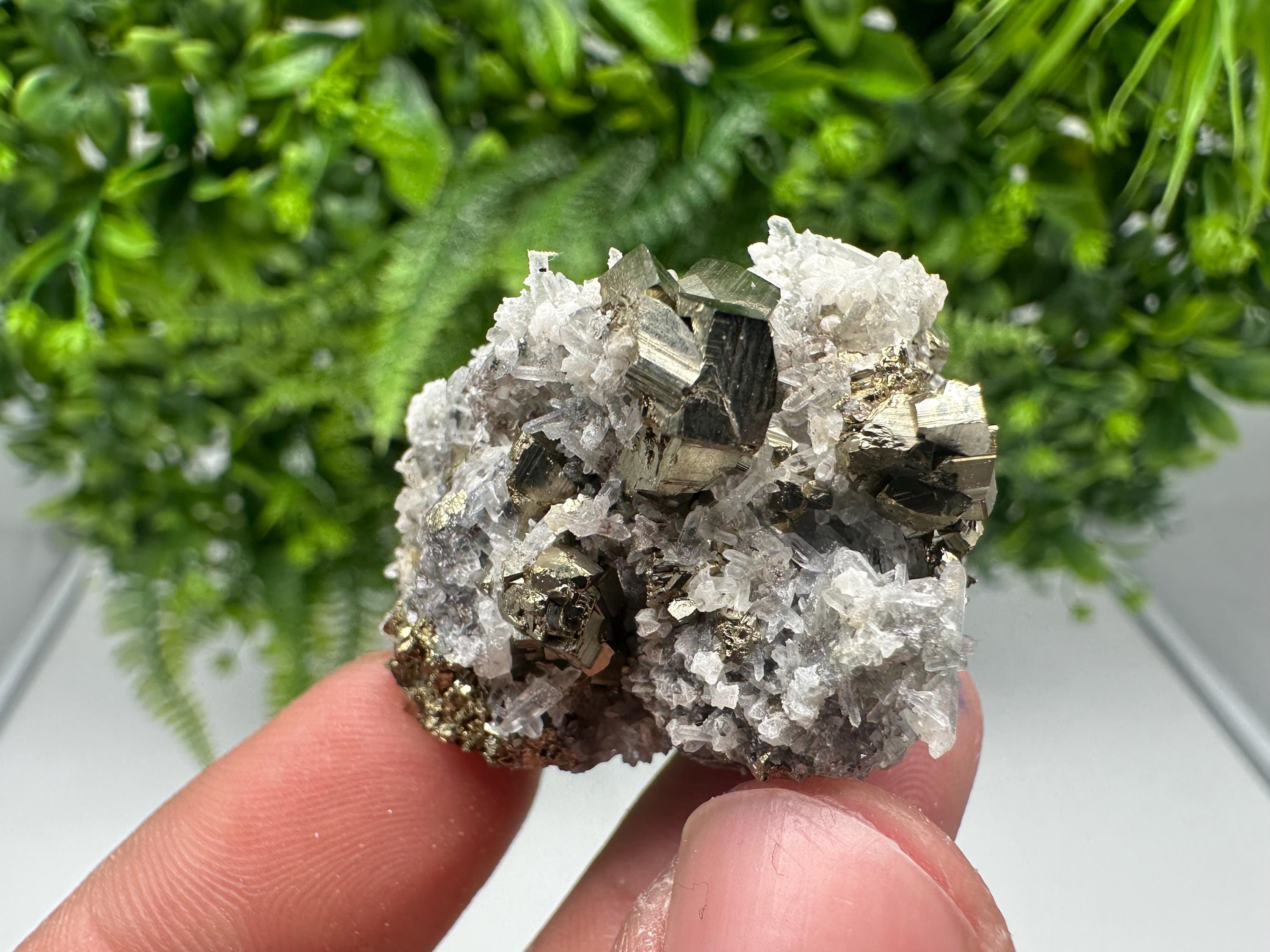 Pyrite on Green Quartz Mineral Specimen, Borieva Mine Bulgaria