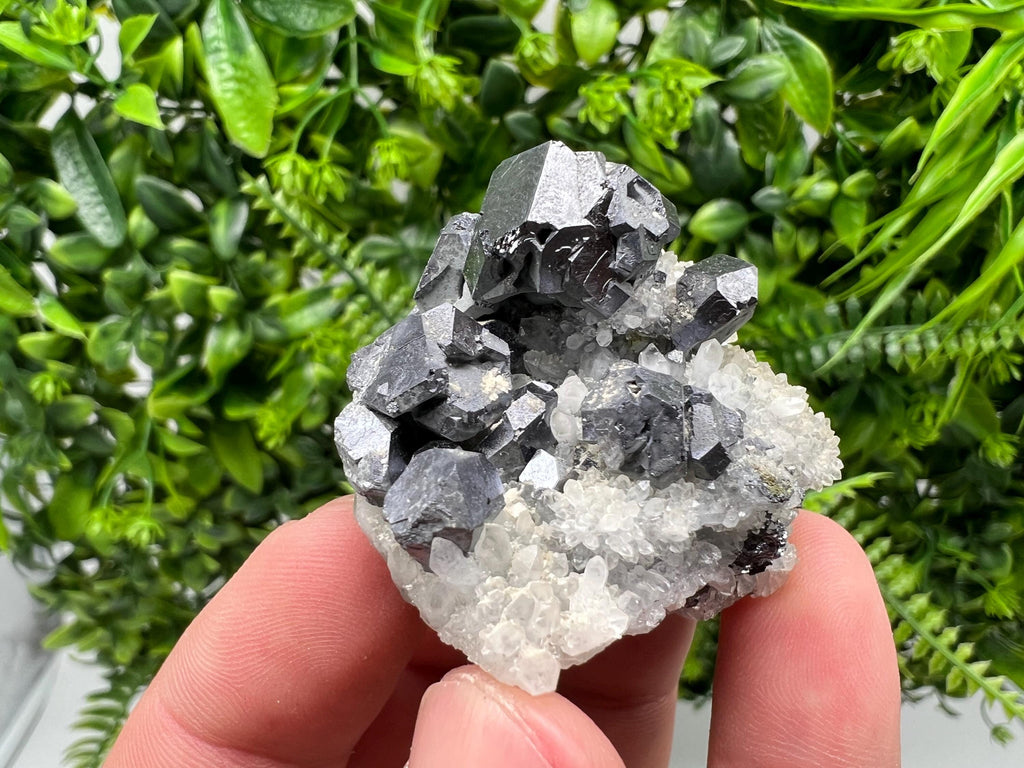 Galena on Chalcedony, Krushev Dol Mine, Bulgaria