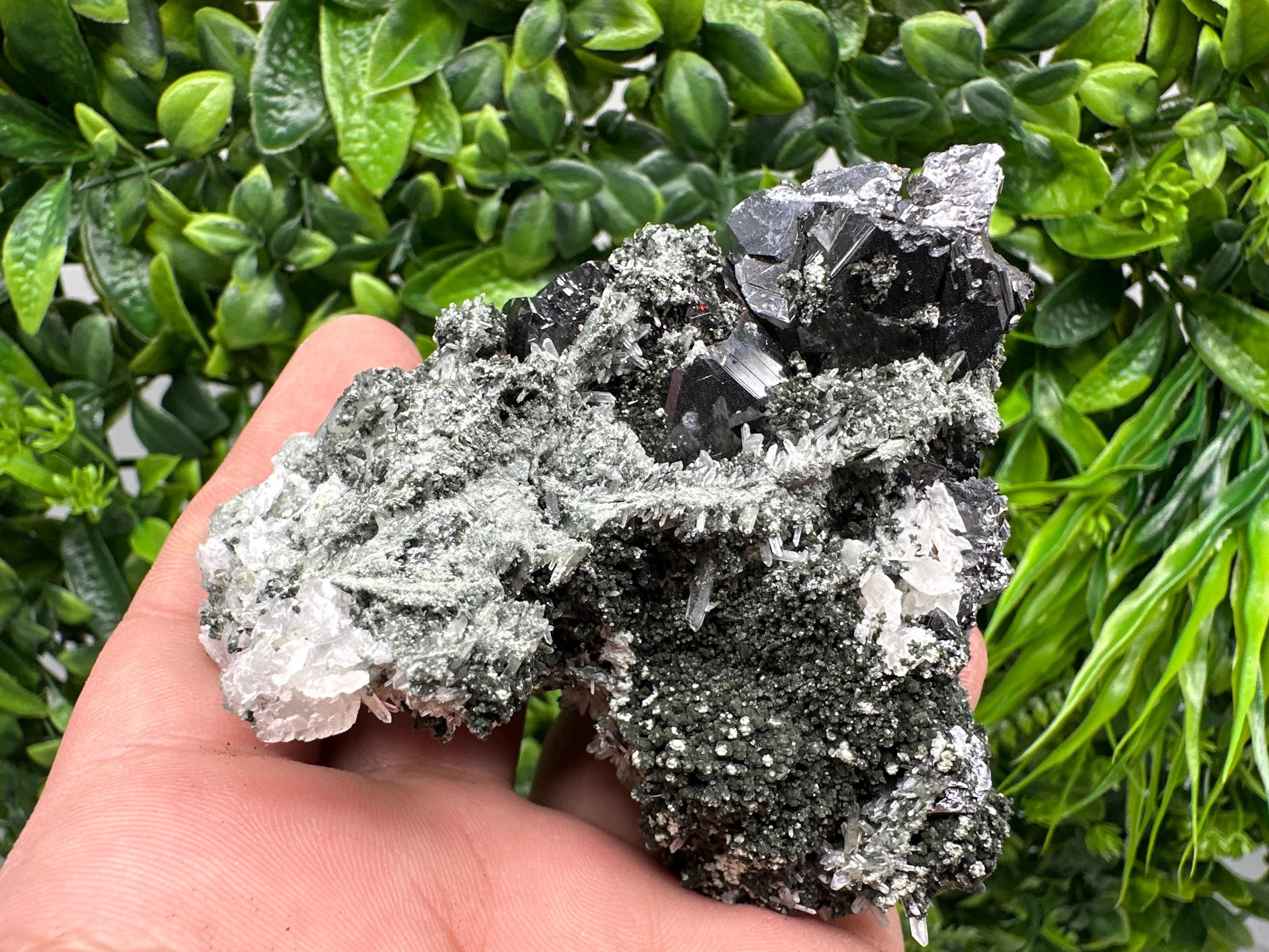 Galena Quartz Sphalerite Mineral Specimen: Borieva Mine, Bulgaria