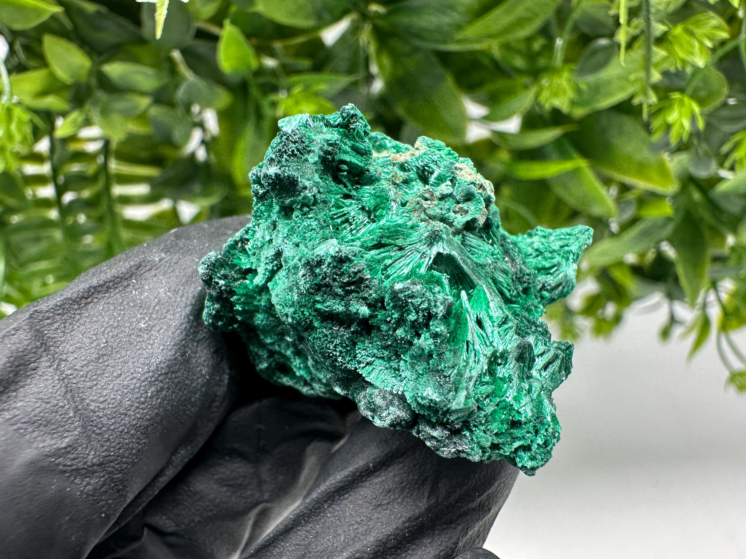 Malachite Crystal from Congo,Minerals,Crystals from Congo,Green Malachite, Malachite,Natural Malachite,Malachite Stone,Chakra, Specimens