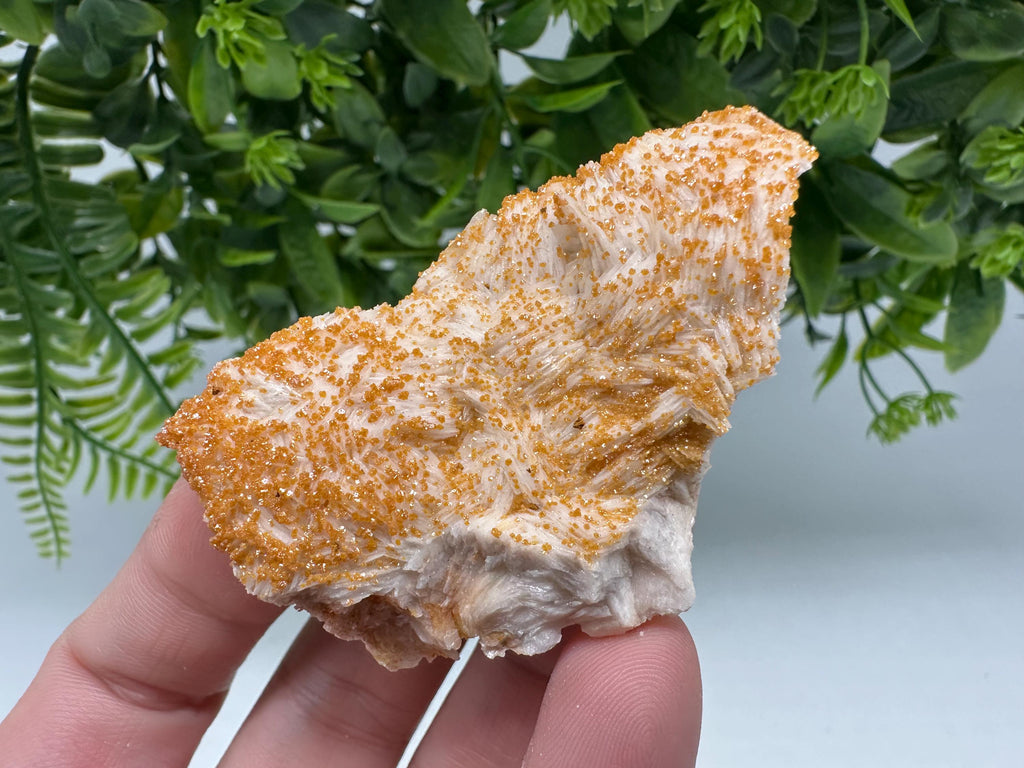 Red Vanadinite on Barite Crystal Specimen from Morocco, Mineral Cluster