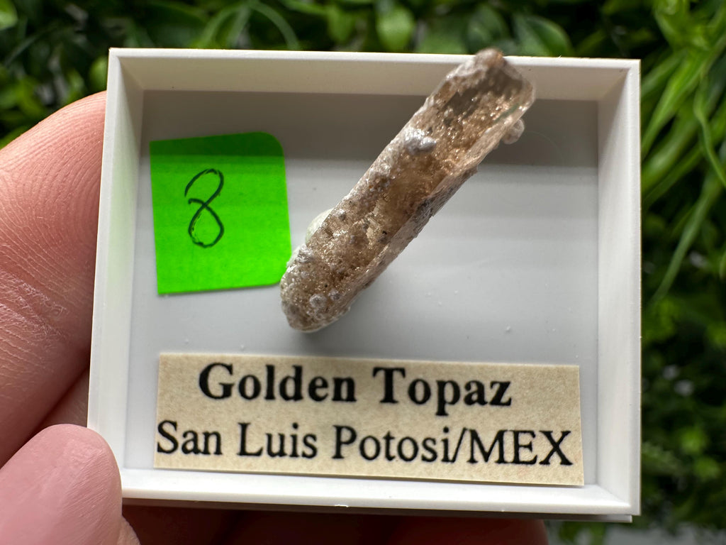 Golden Topaz Crystal, Mineral Specimen from Mexico