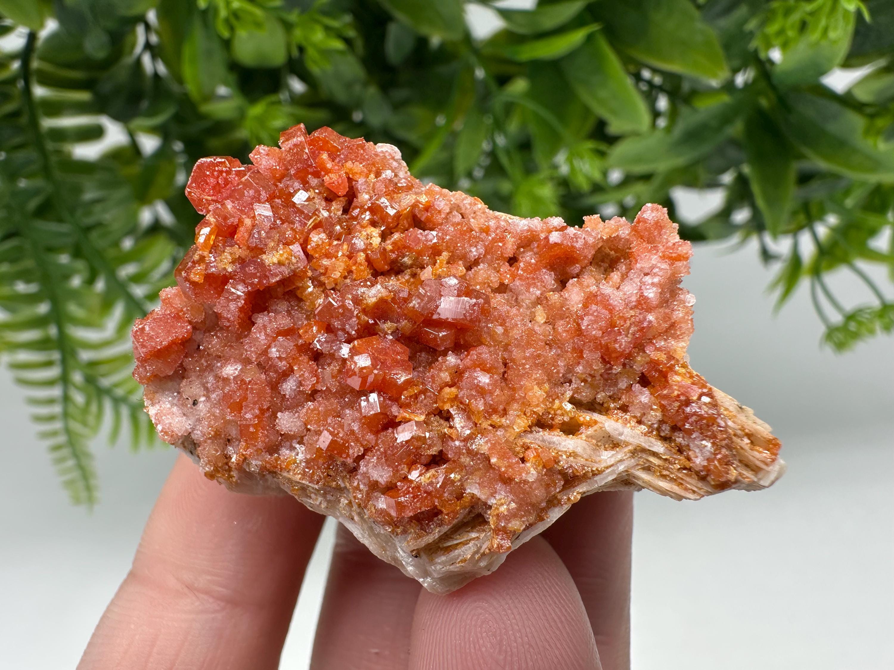 Red Vanadinite Crystal Cluster on Barite Matrix from Morocco, Mineral Specimen