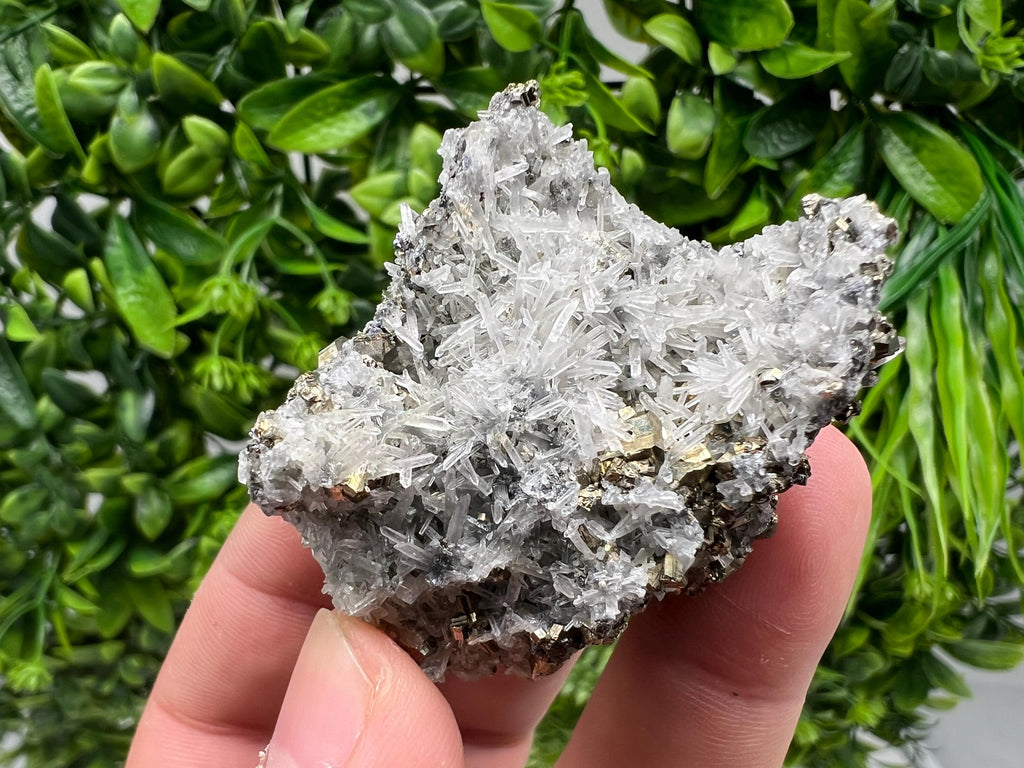 Pyrite on Green Quartz Mineral Specimen, Borieva Mine Bulgaria