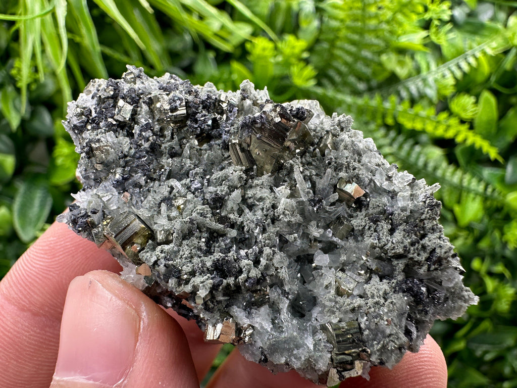 Pyrite on Quartz Needles, Borieva Mine Bulgaria, Natural Mineral Specimen