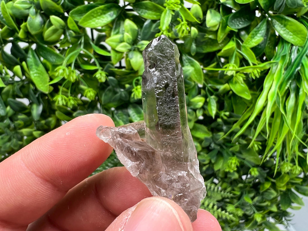 Rare Smoky Quartz Crystal Specimen: Mineral Collection, Brazil