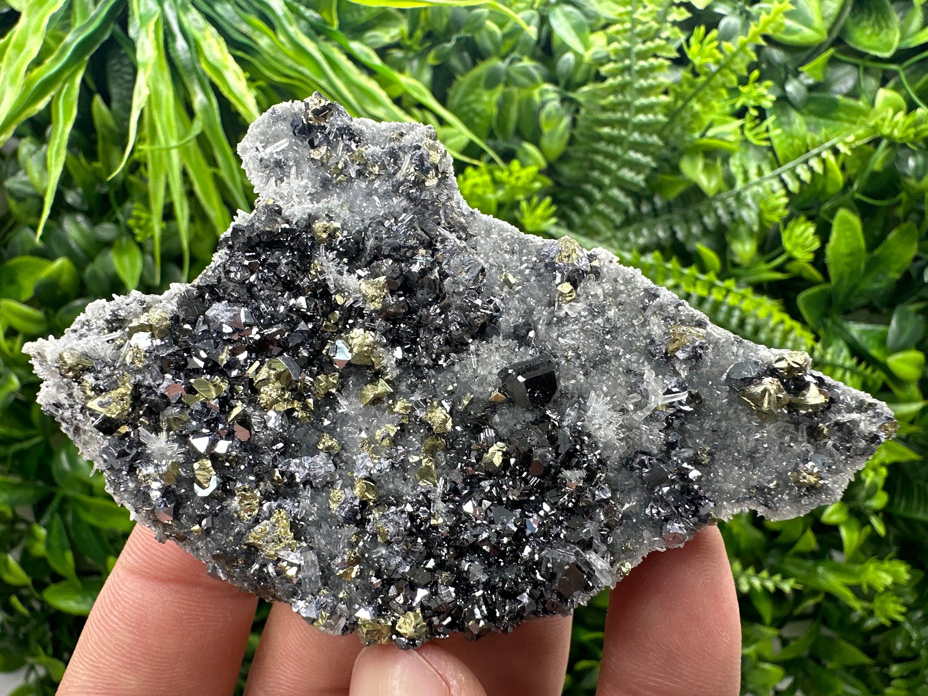 Chalcopyrite Galena Sphalerite on Quartz, Bulgaria Mineral Specimen