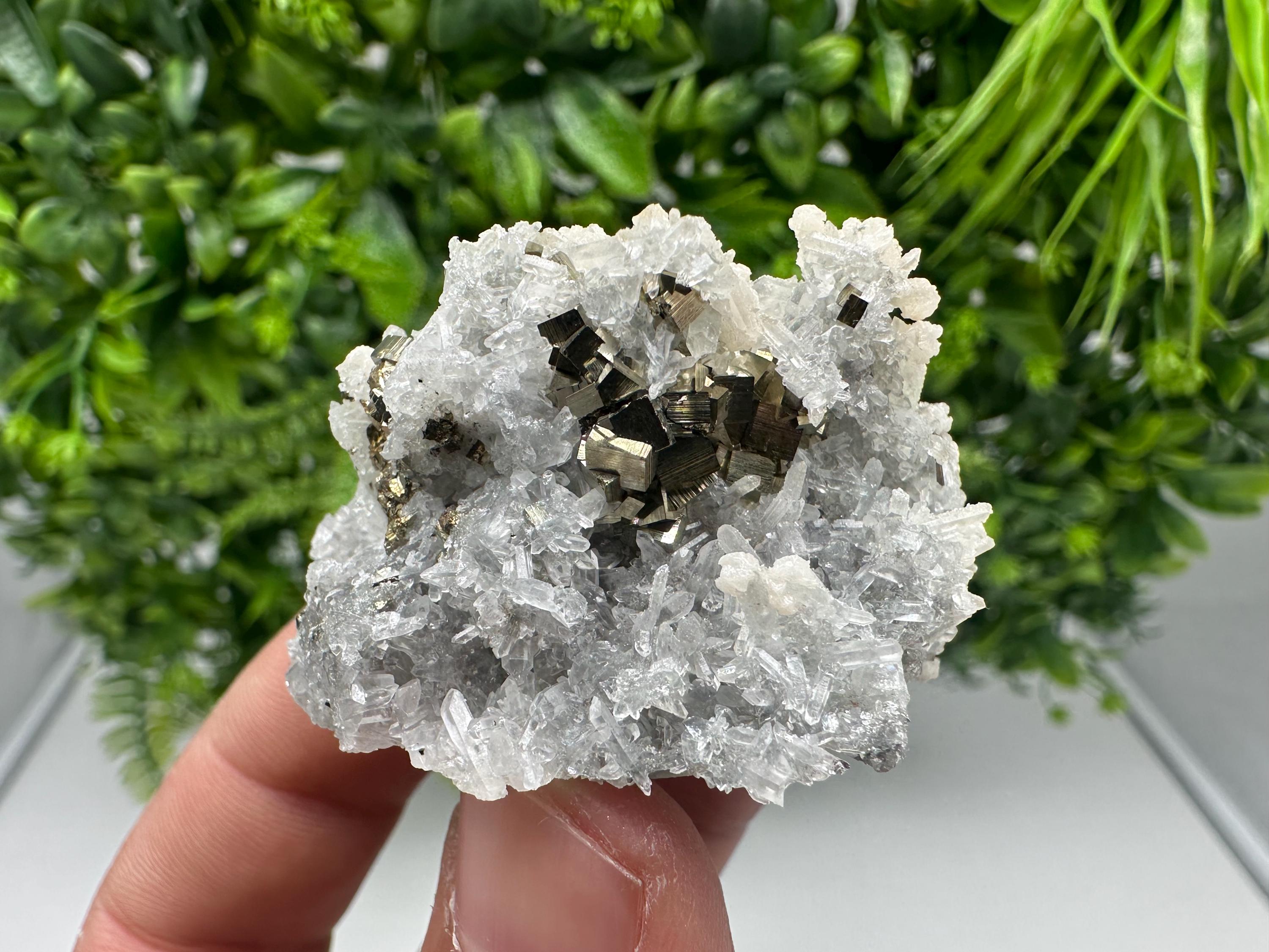 Pyrite on Green Quartz Mineral Specimen, Borieva Mine Bulgaria