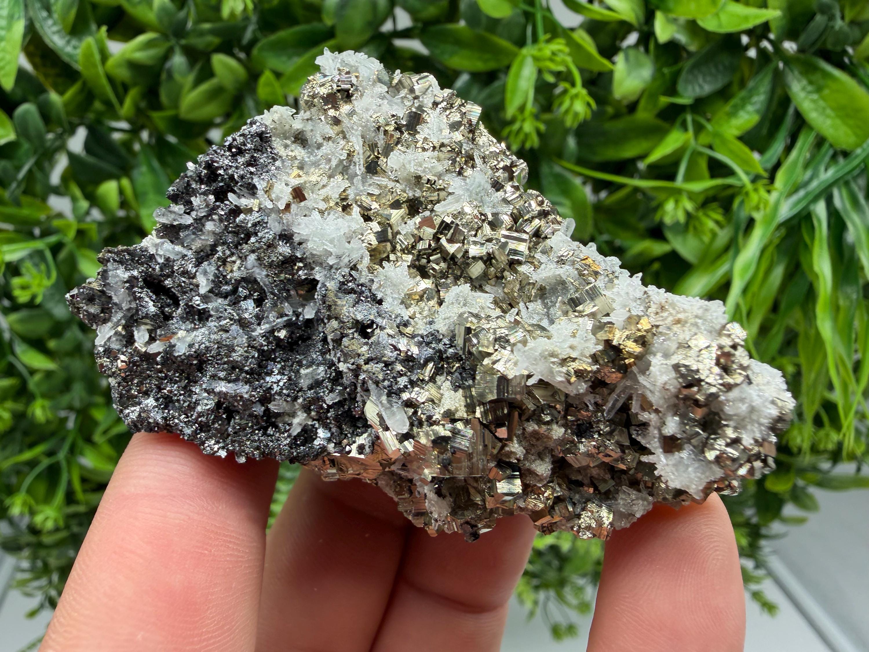 Pyrite Sphalerite Quartz  Mineral Specimen, Krushev dol Mine