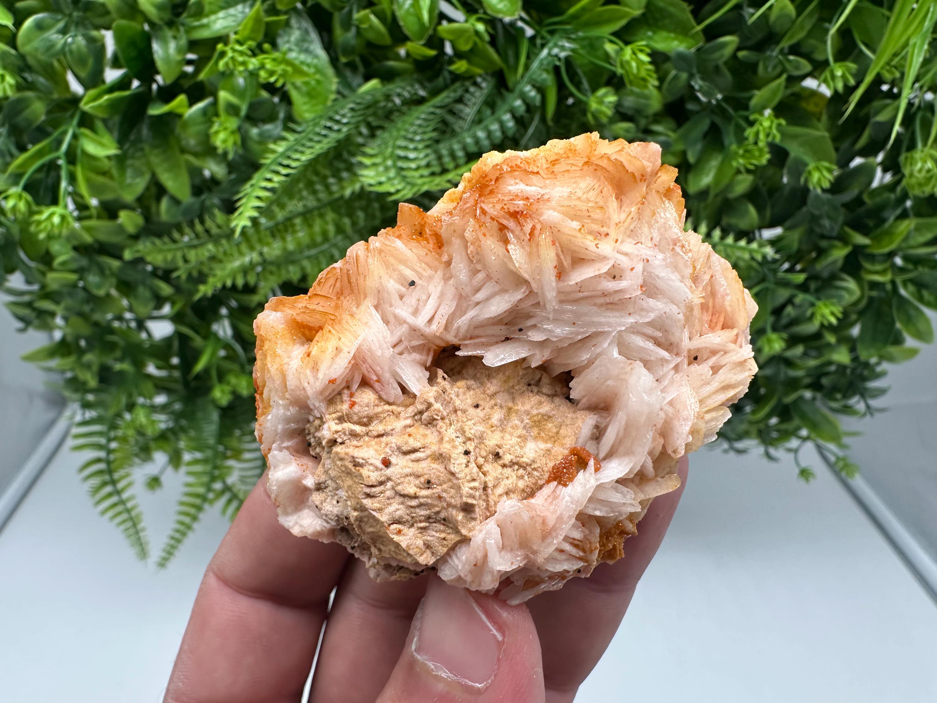 Red Vanadinite on Barite from Marocco,crystal minerals Speciment cluster Vanadinite crystal Vanadinite Geology Vanadinite cluster minerals