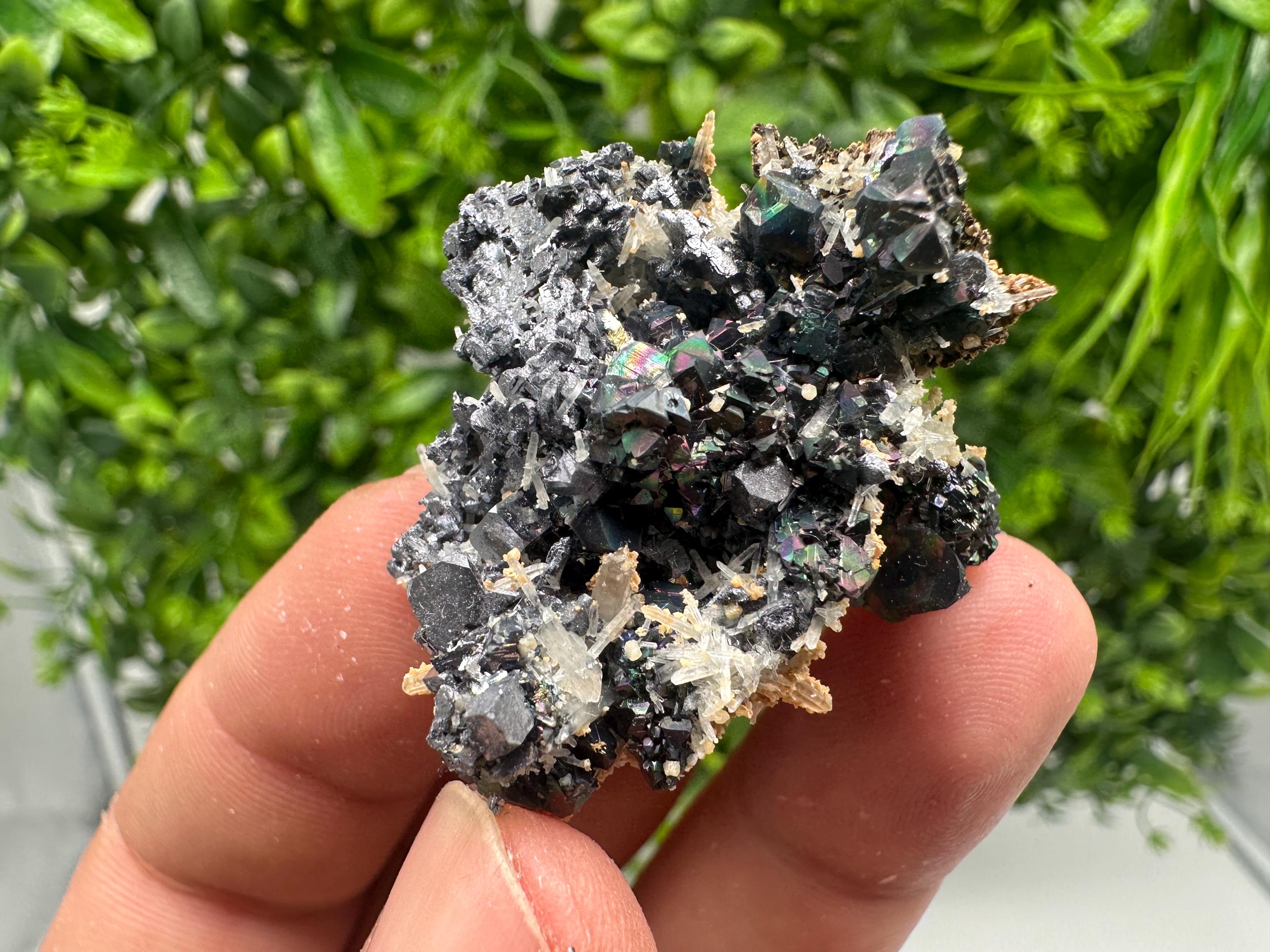 Wonderful Galena,Sphalerite,Siderite on Quartz from 9th September mine,Madan,Bulgaria,natural,collection mineral specimen,crystal,gift,decor